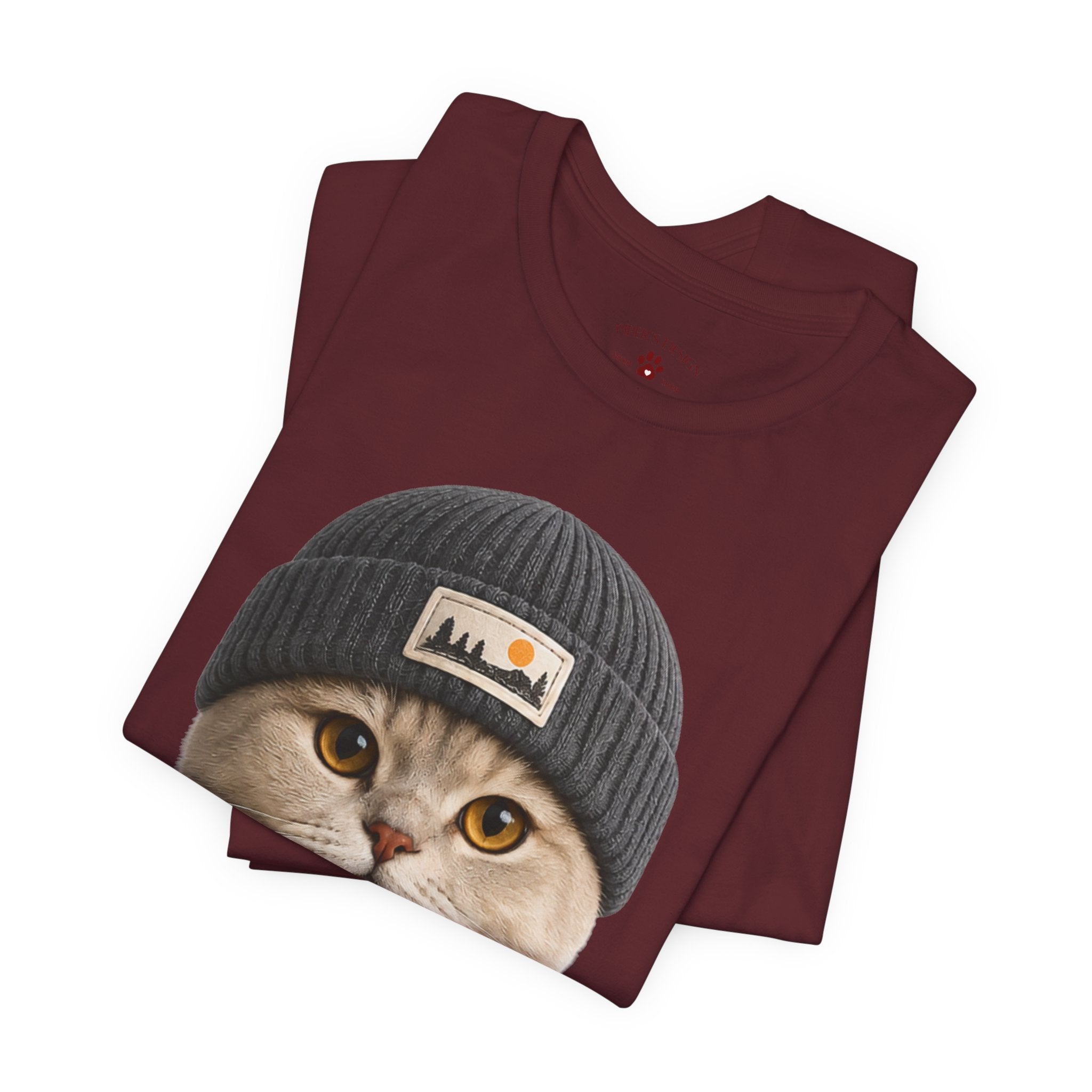 British Shorthair Cat in a Beanie