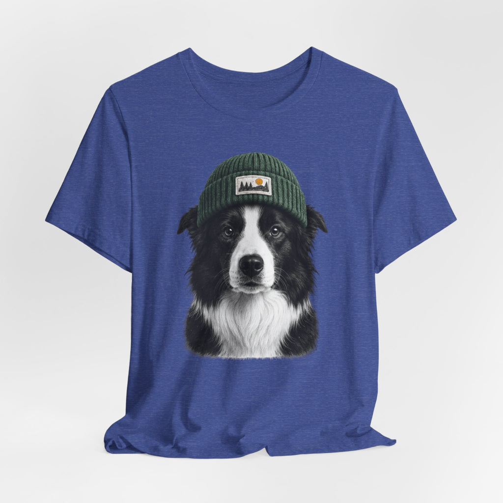 Border Collie in a Beanie