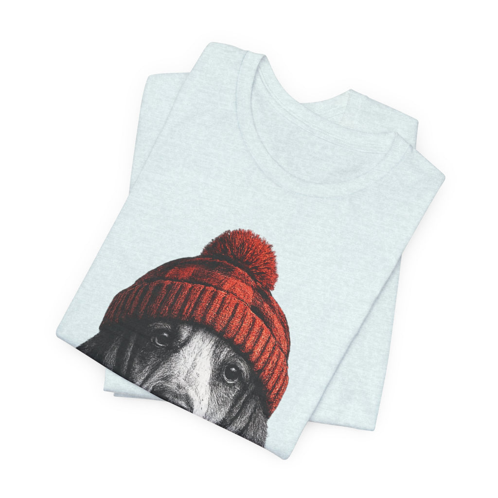 Basset in a Beanie