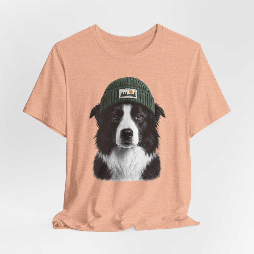 Border Collie in a Beanie