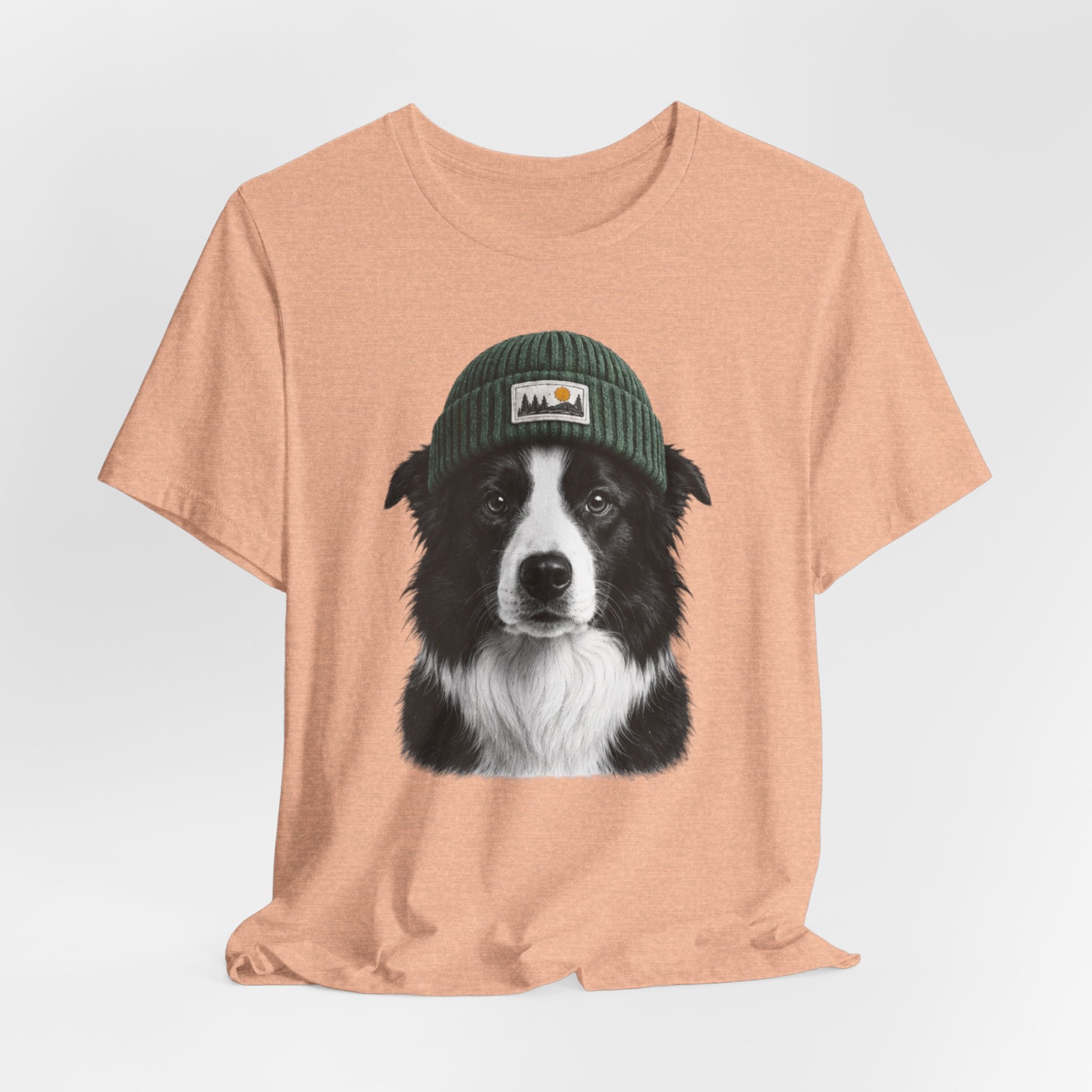 Border Collie in a Beanie
