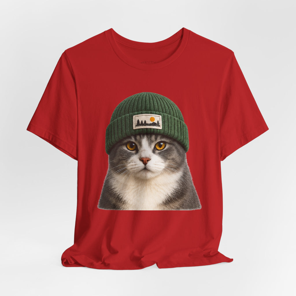 Cat in a Beanie