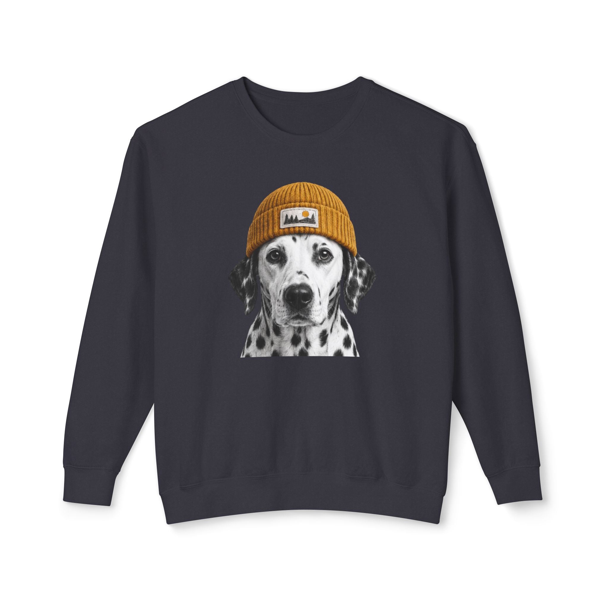 Dalmatian Beanie Sweatshirt