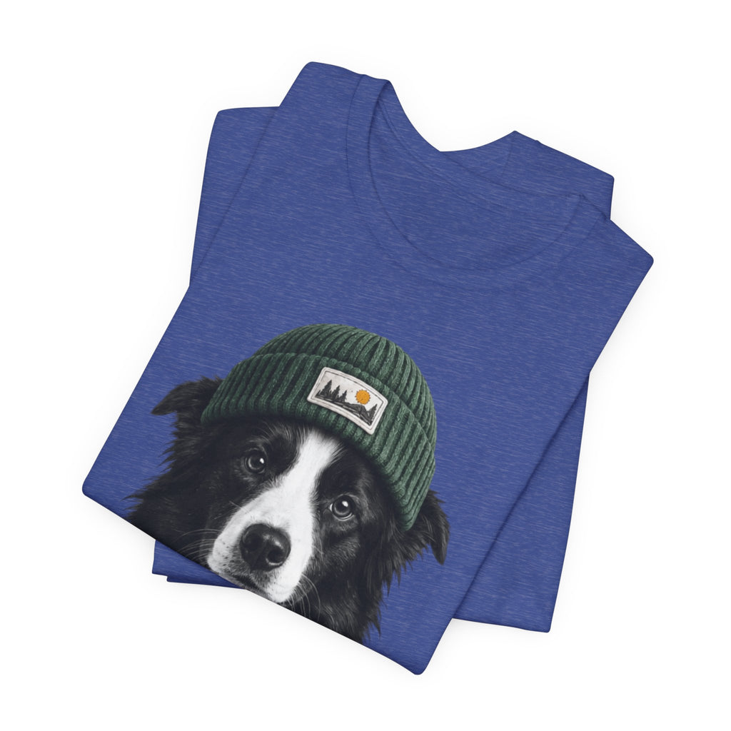 Border Collie in a Beanie