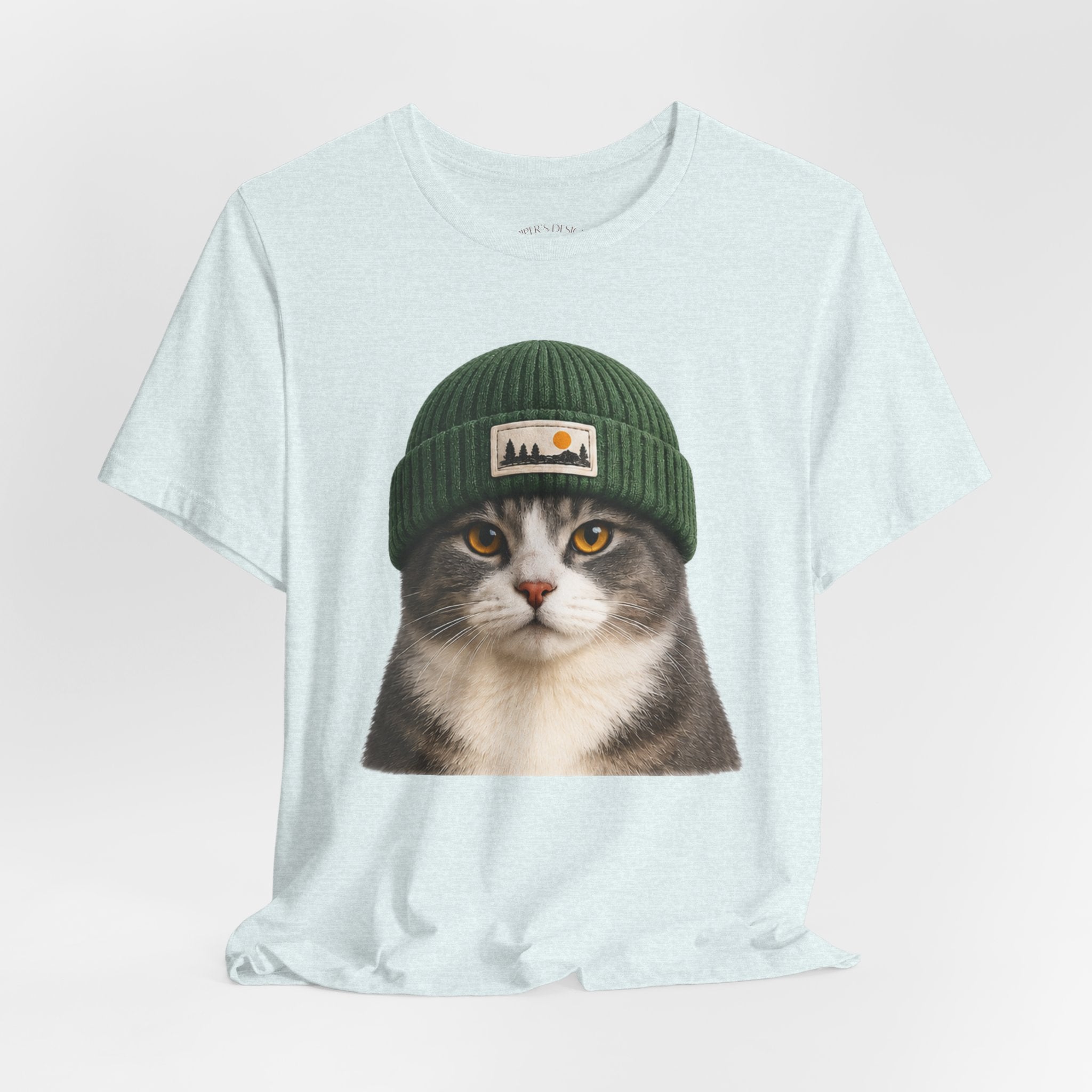 Cat in a Beanie