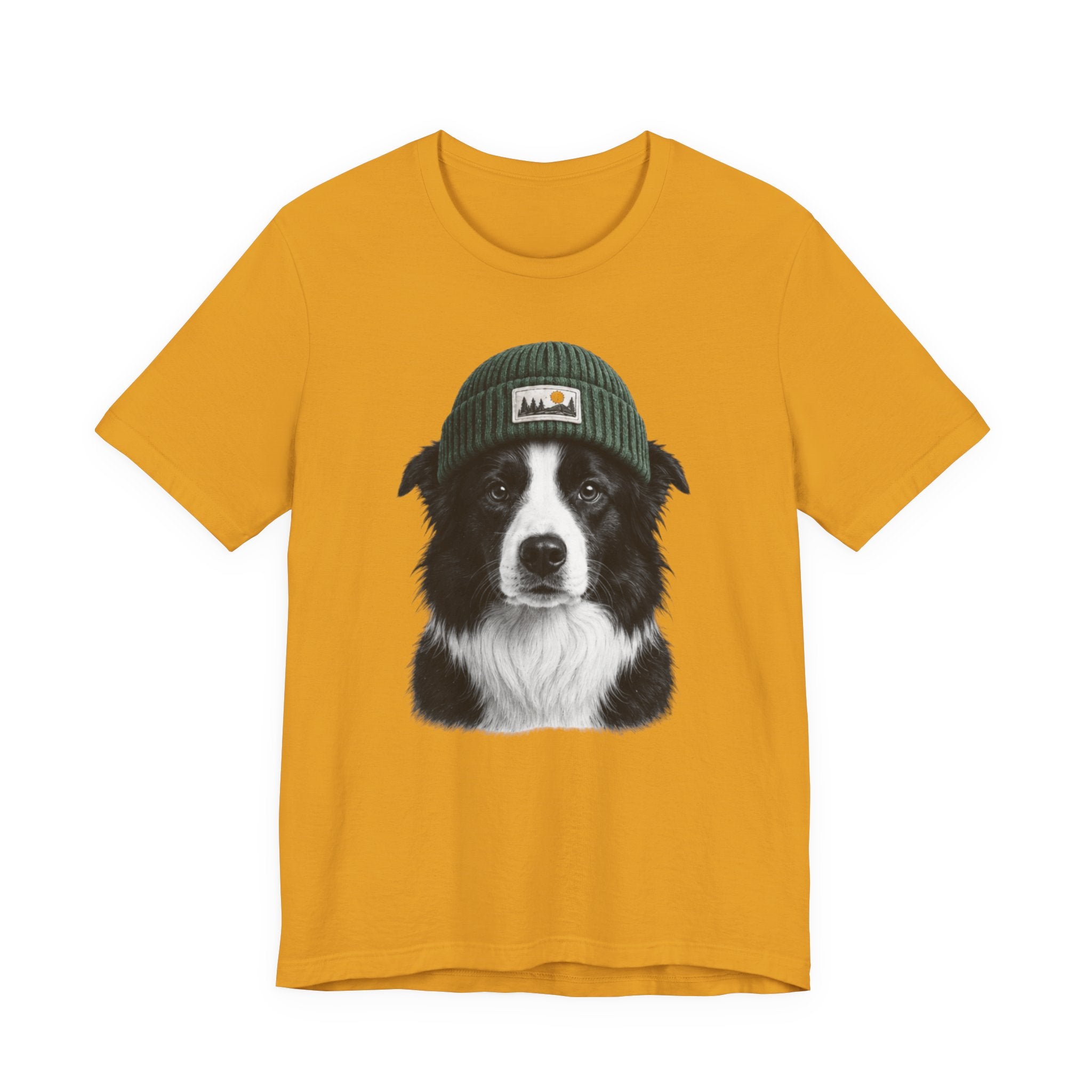 Border Collie in a Beanie