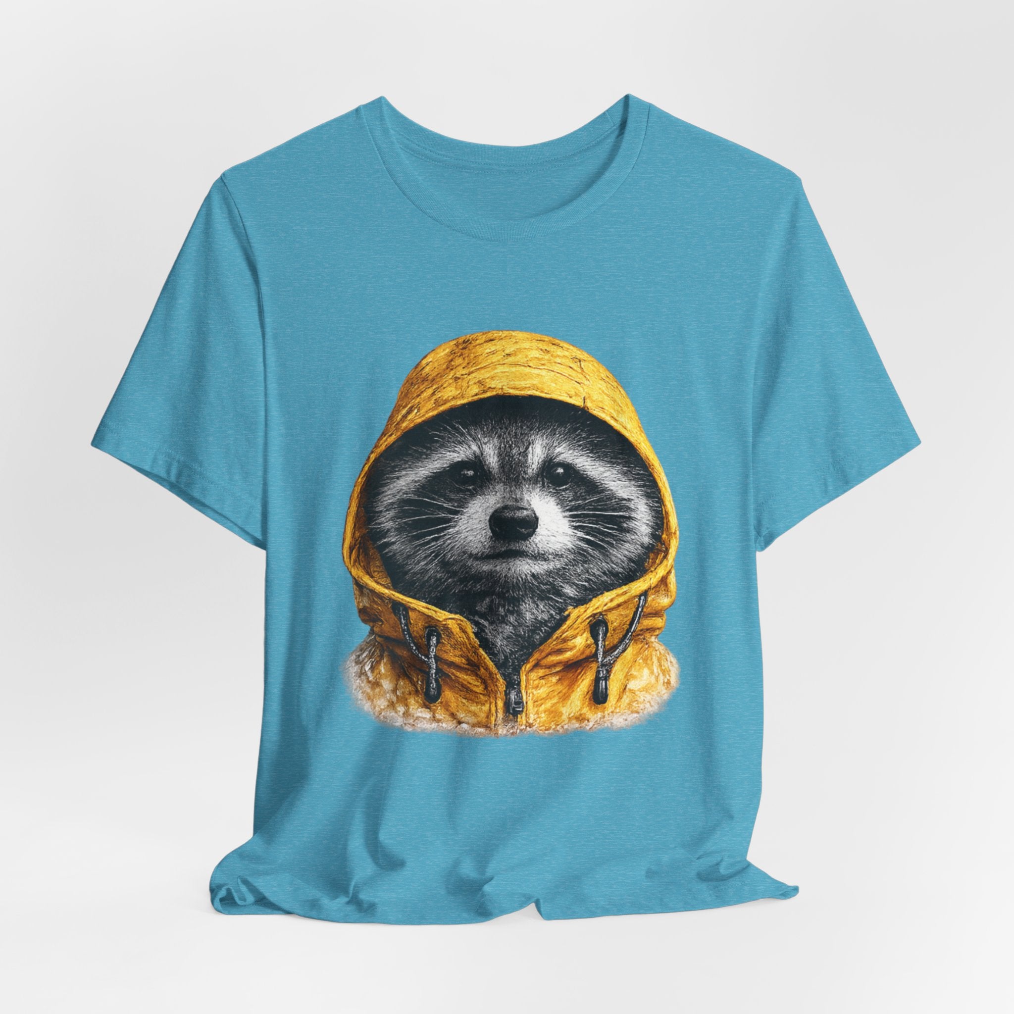 Raincoat Raccoon