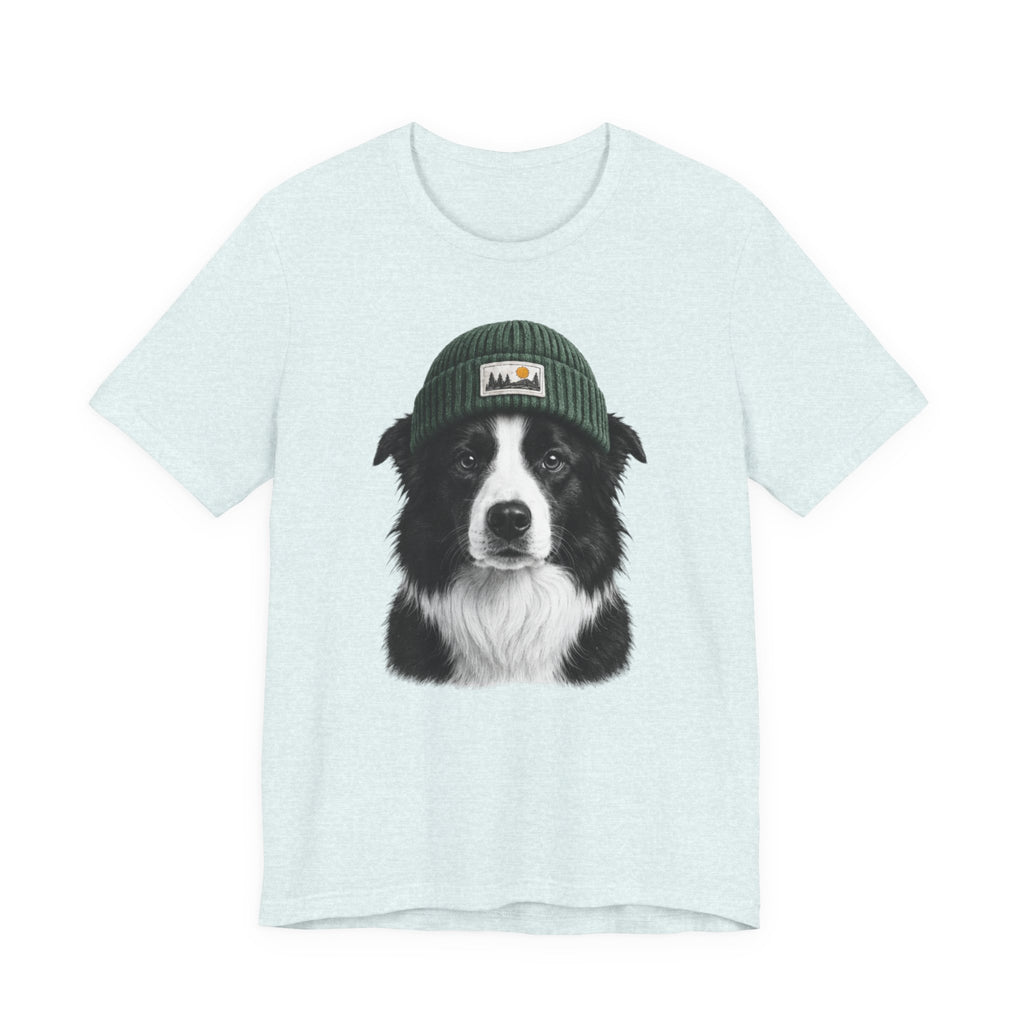 Border Collie in a Beanie