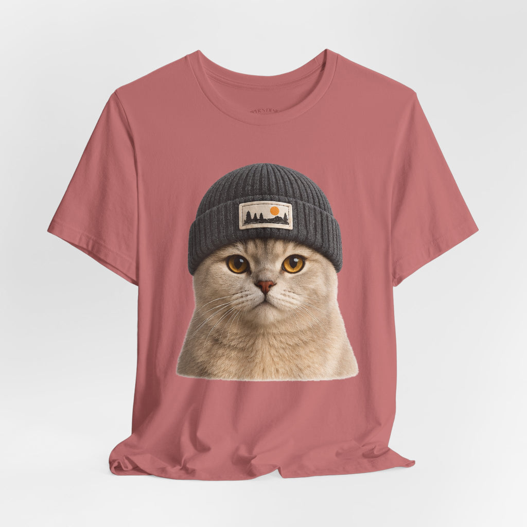 British Shorthair Cat in a Beanie