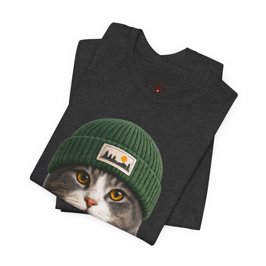 Cat in a Beanie