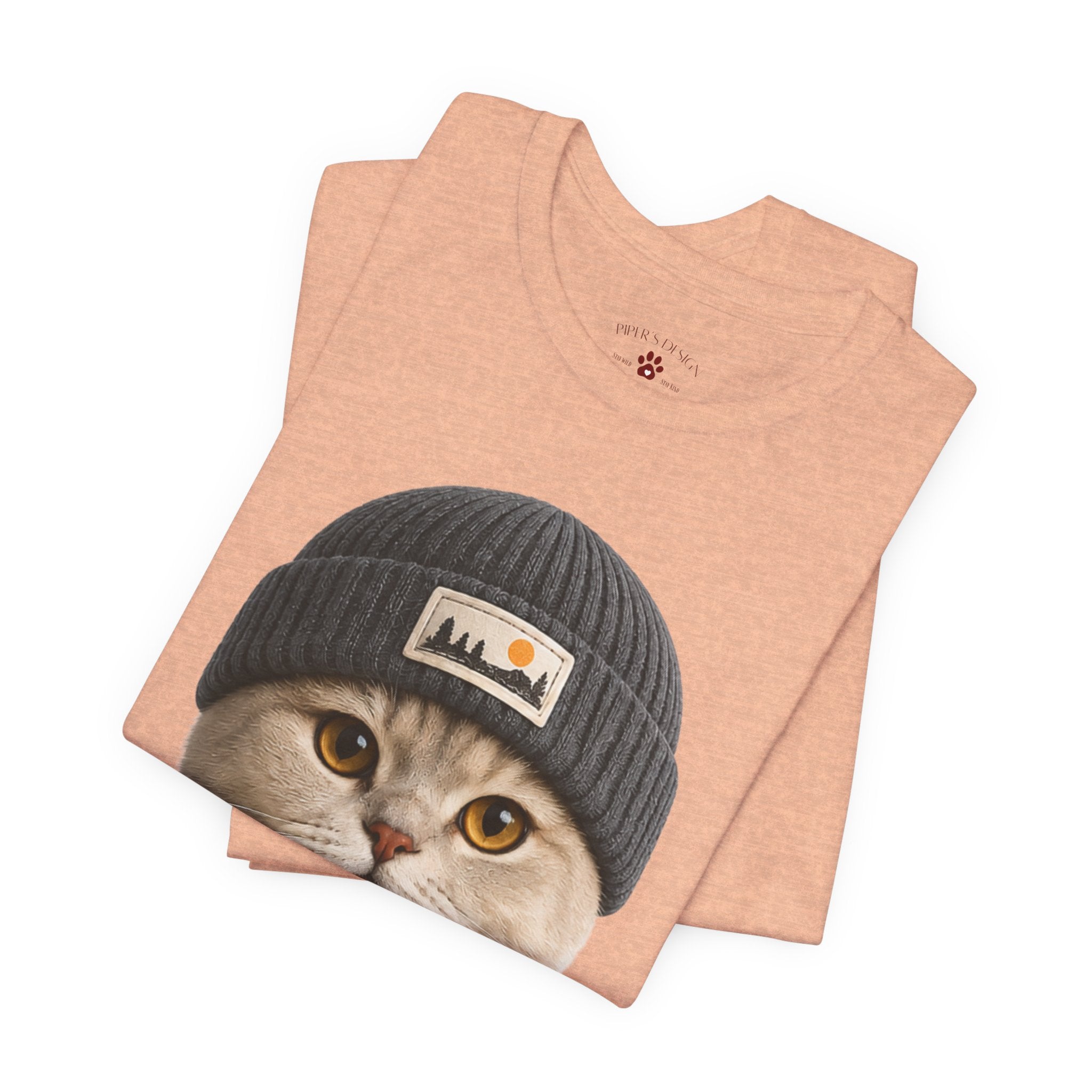 British Shorthair Cat in a Beanie