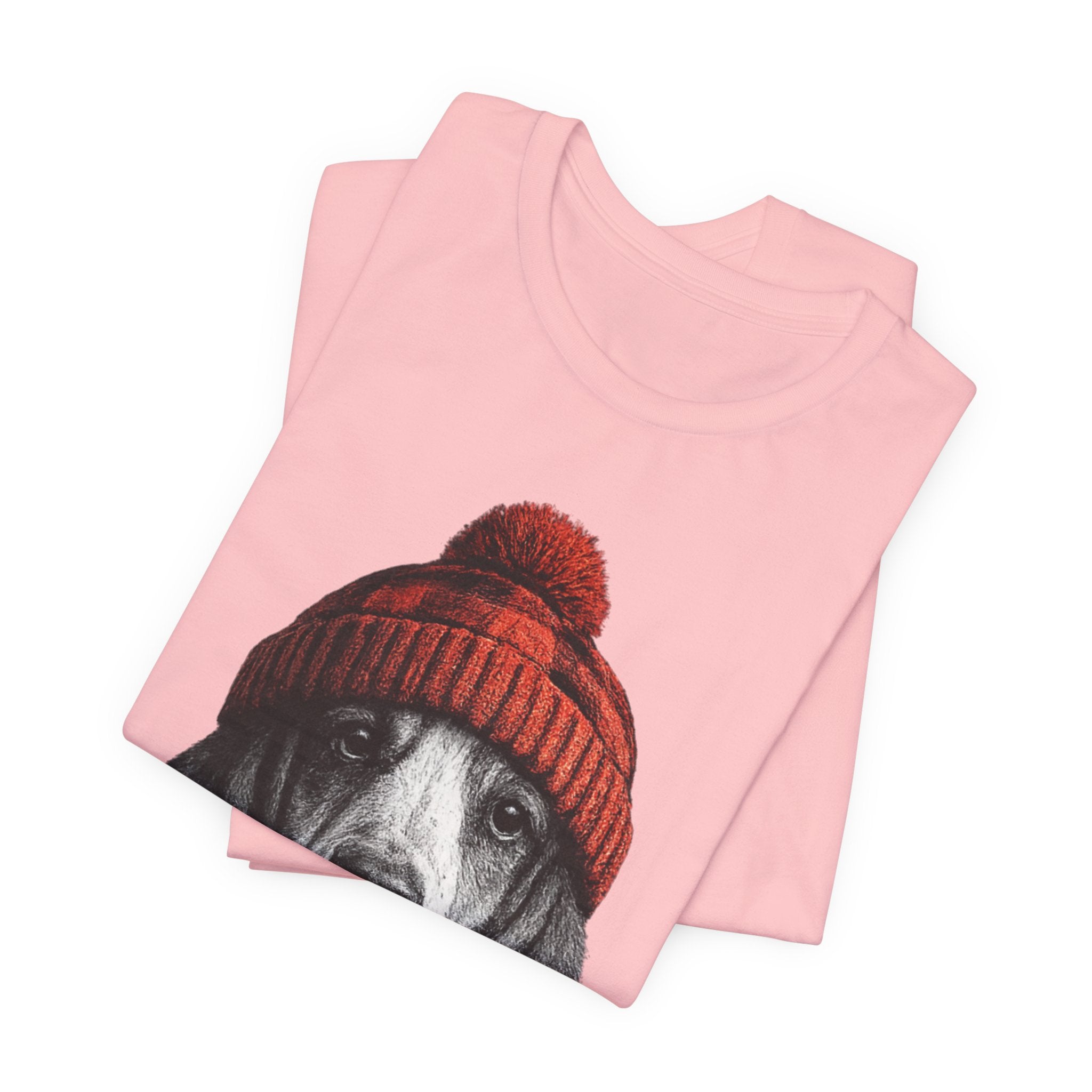 Basset in a Beanie