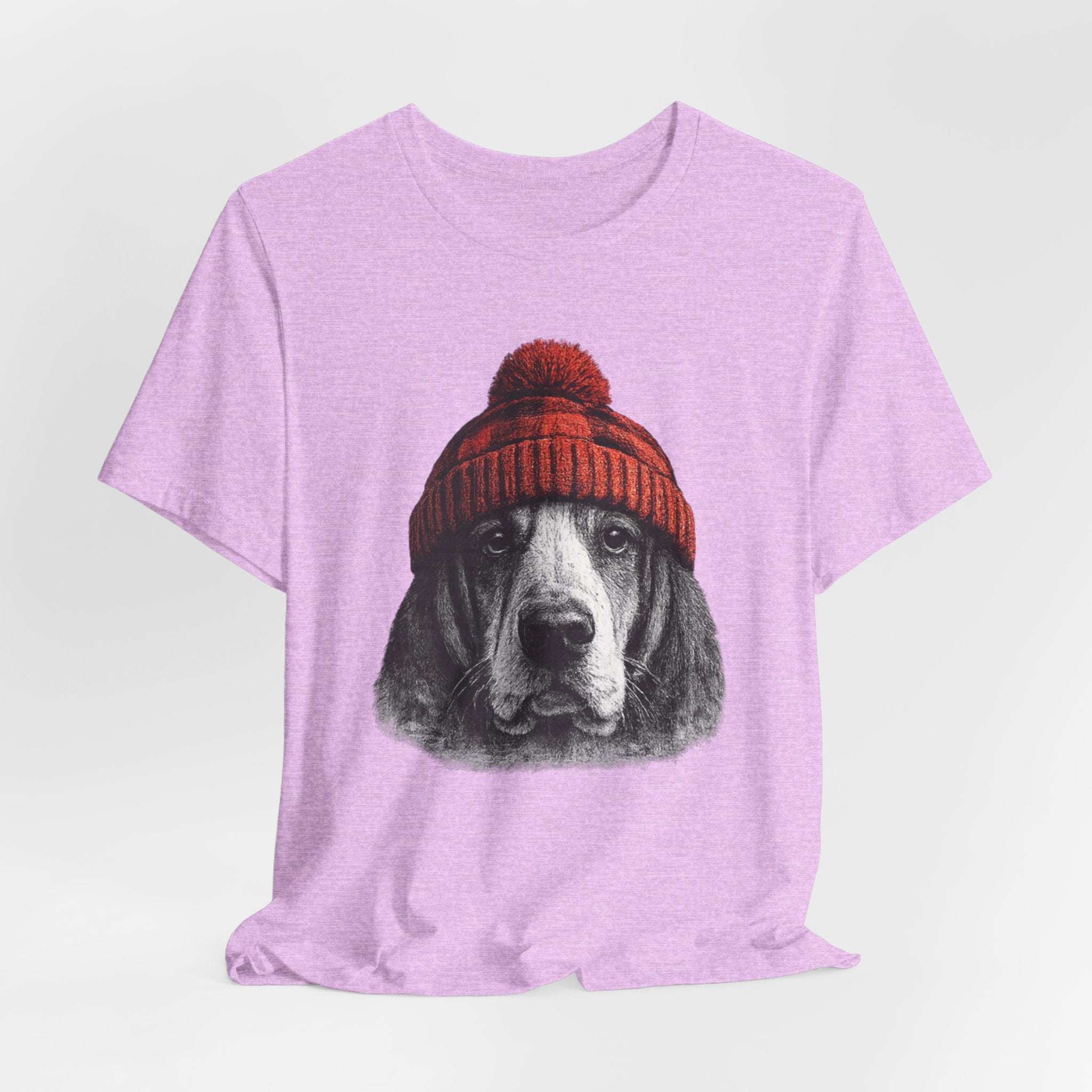 Basset in a Beanie
