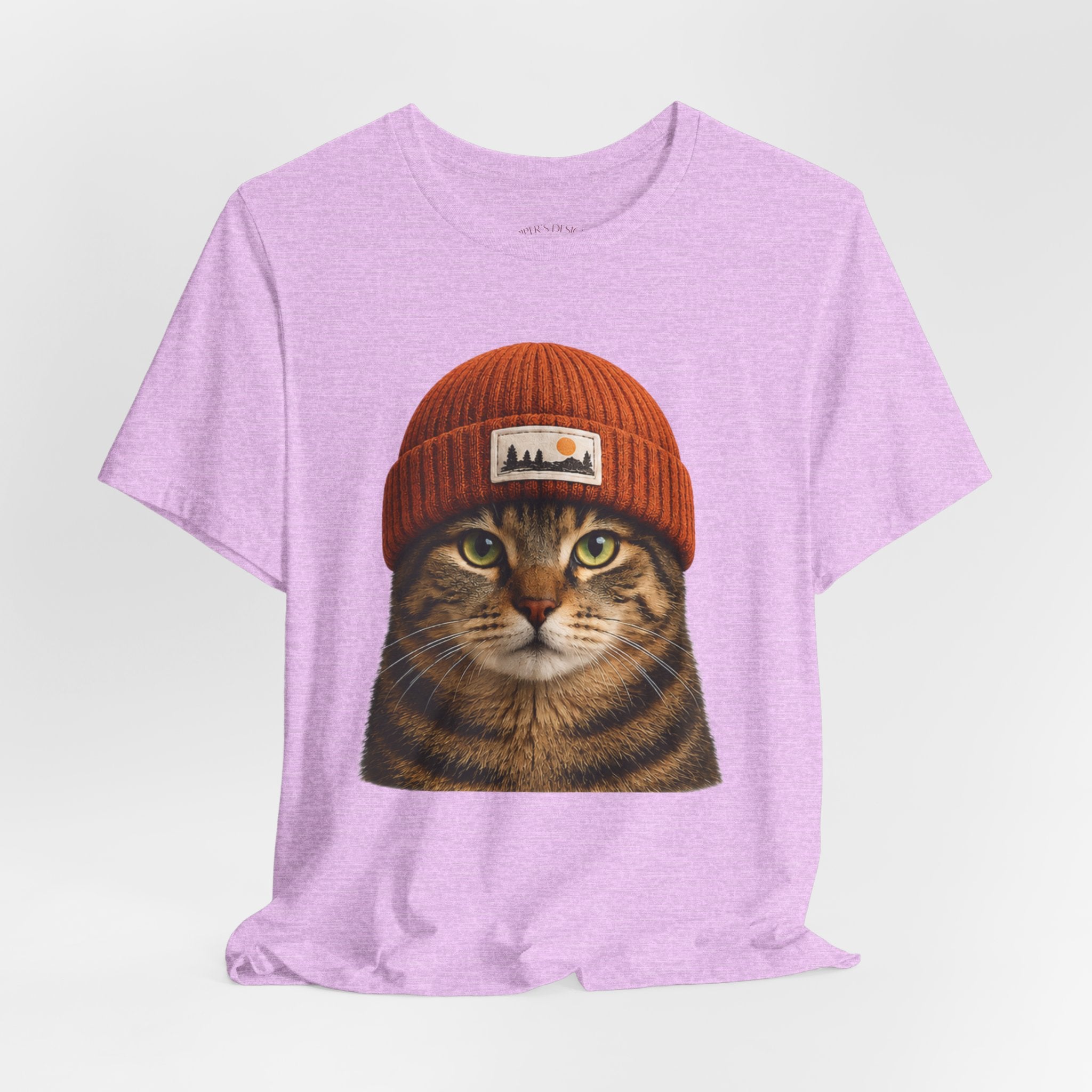 Tabby Cat in a Beanie