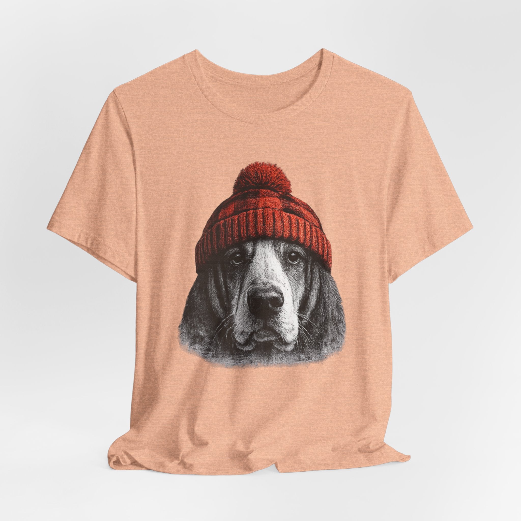 Basset in a Beanie