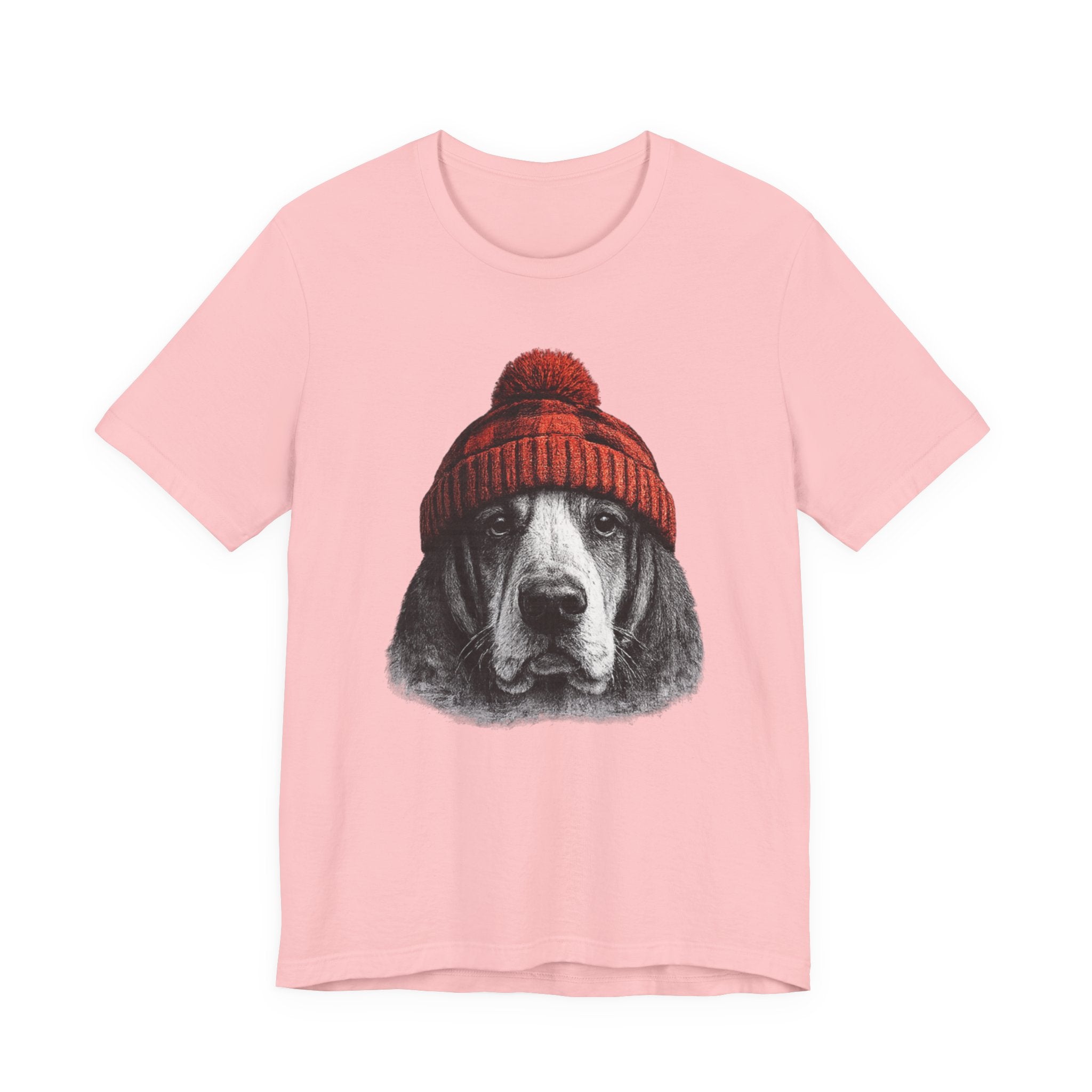 Basset in a Beanie