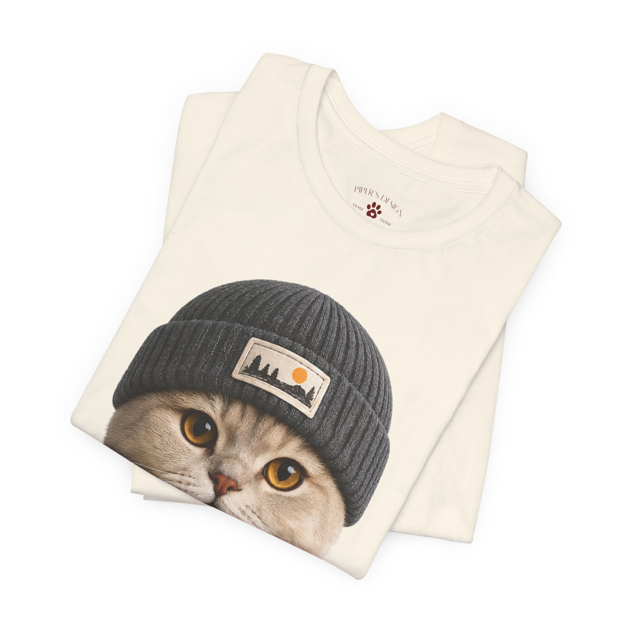 British Shorthair Cat in a Beanie