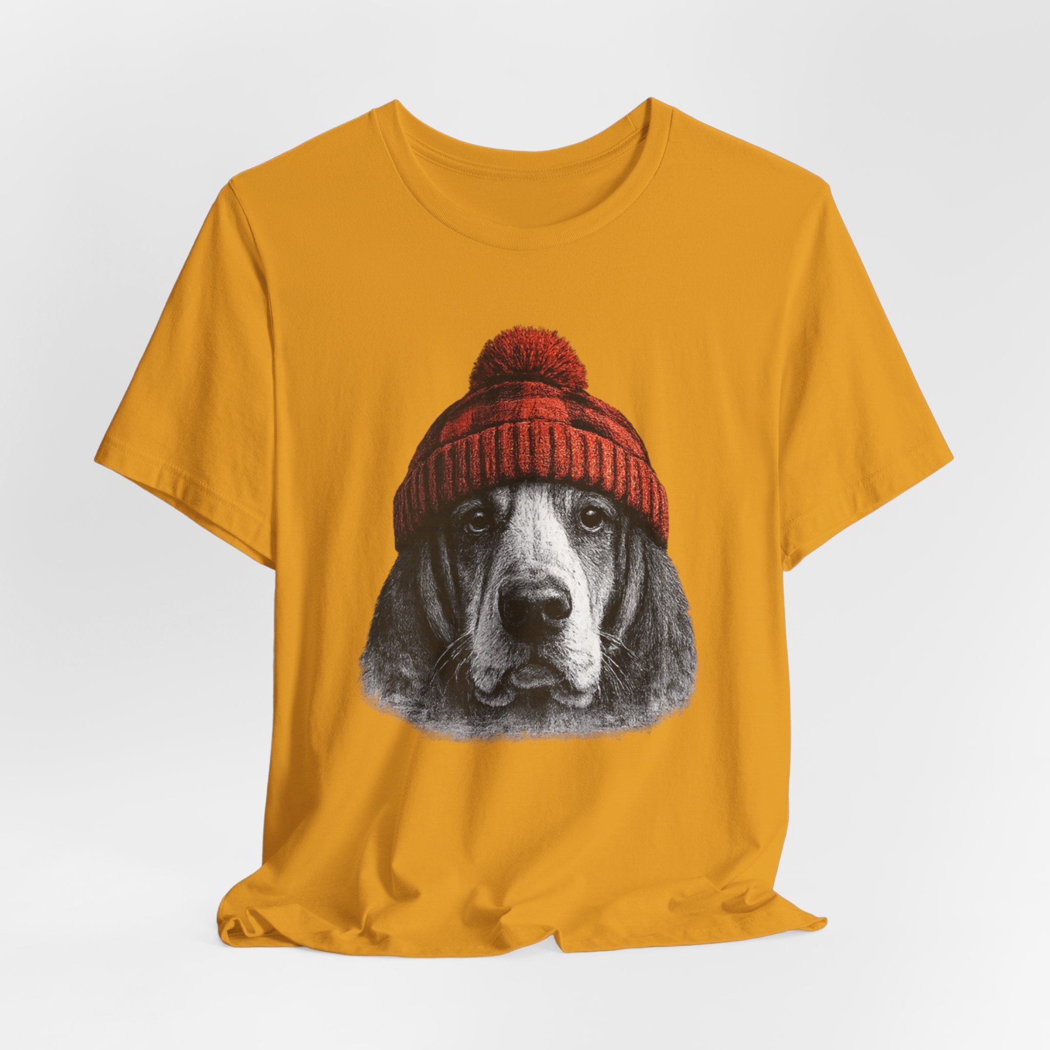 Basset in a Beanie