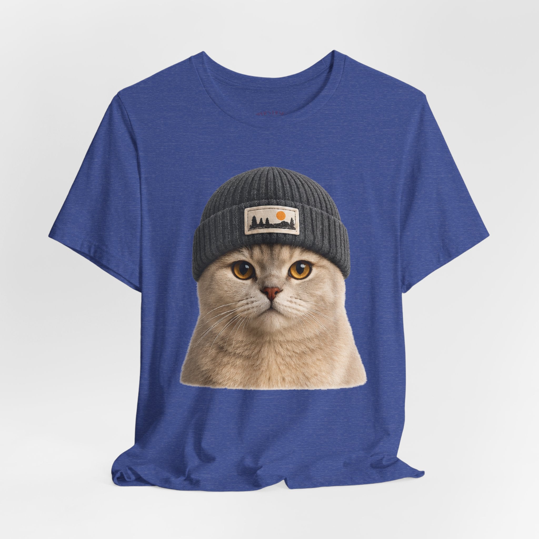 British Shorthair Cat in a Beanie