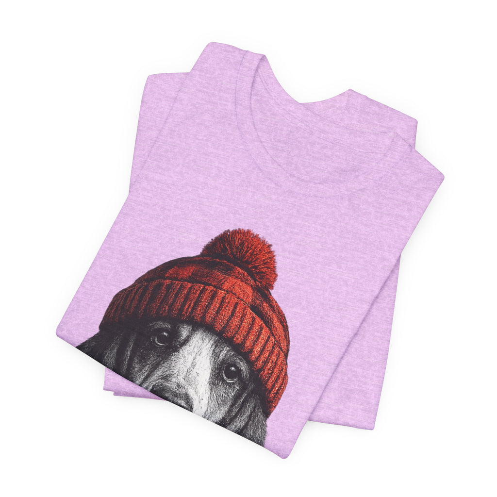 Basset in a Beanie