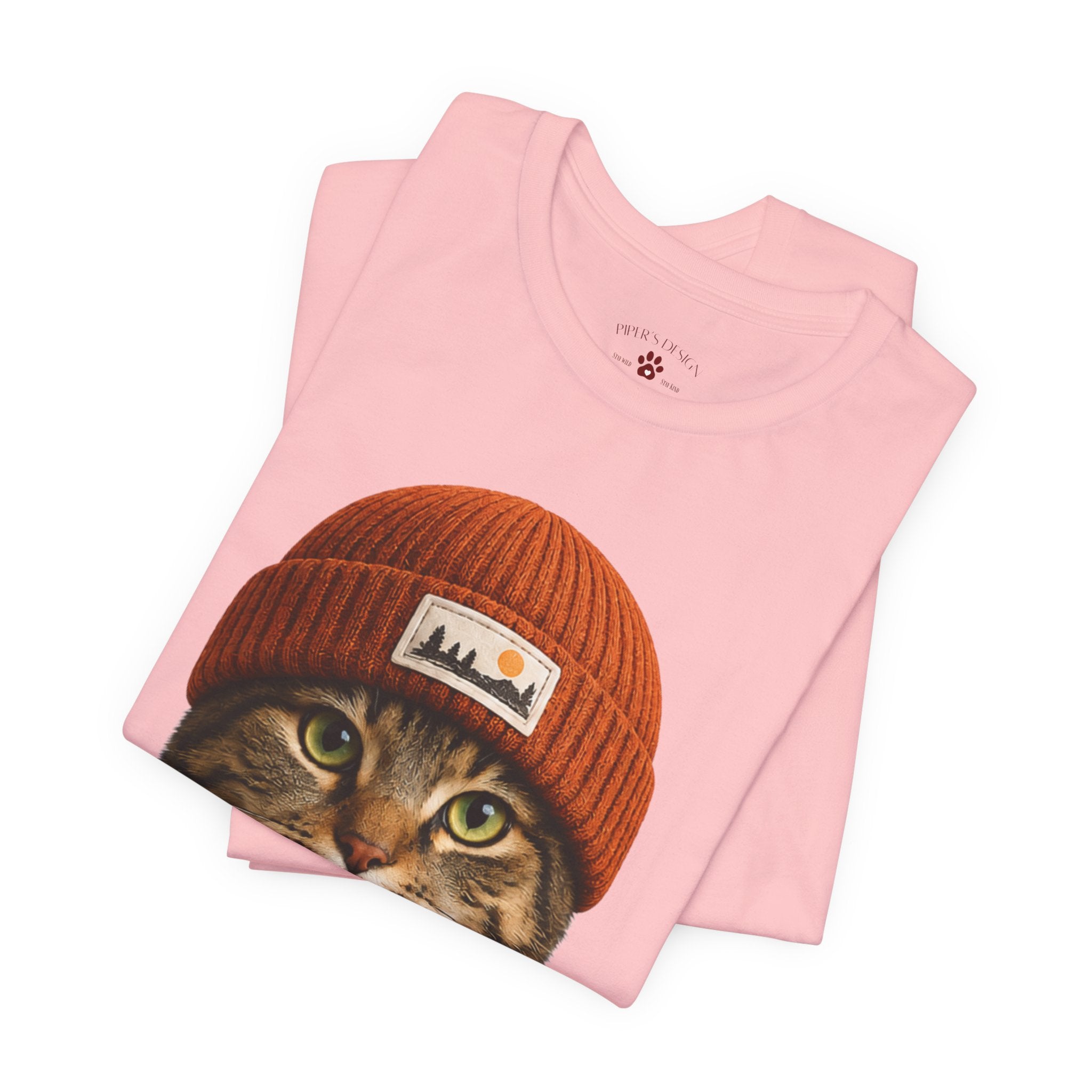 Tabby Cat in a Beanie