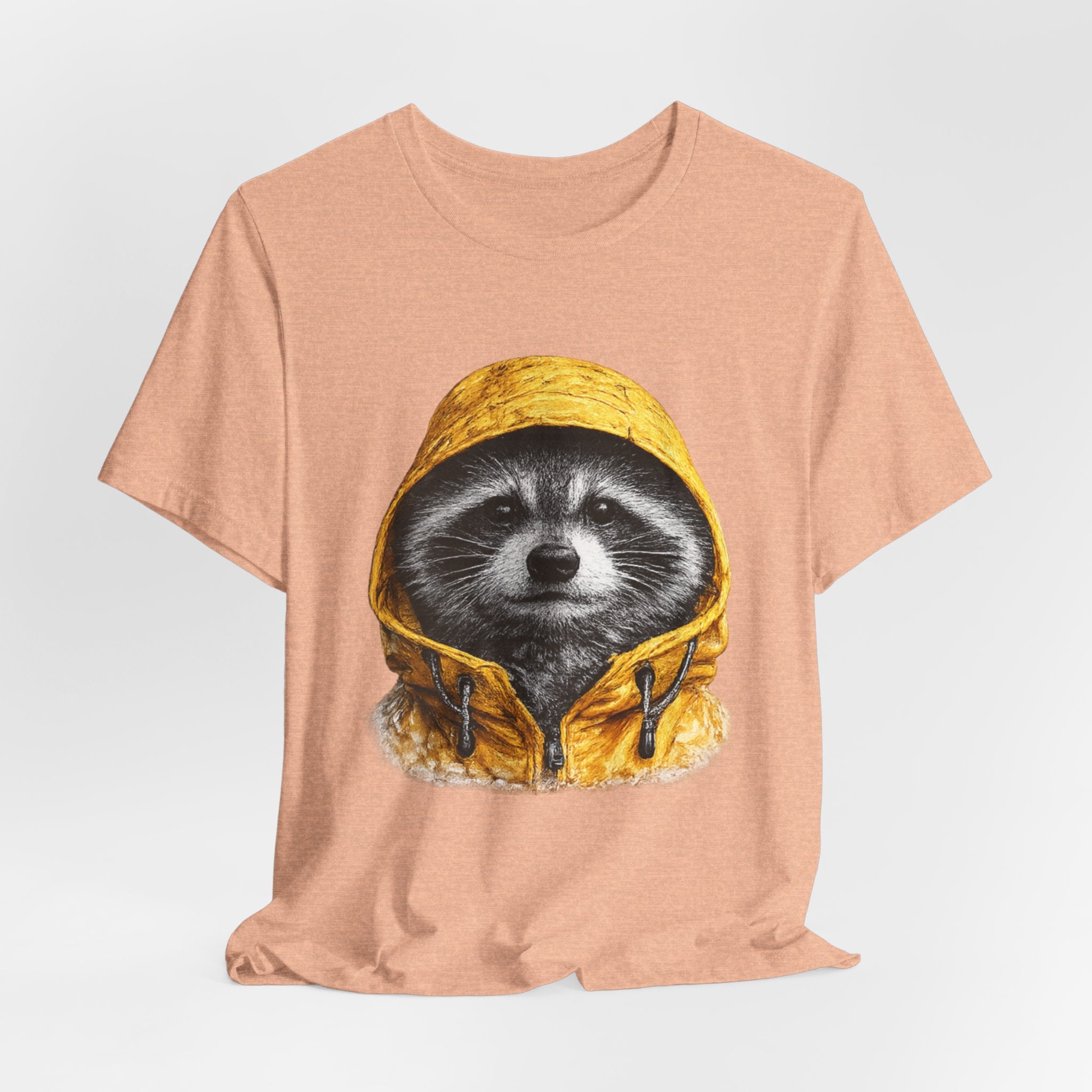 Raincoat Raccoon