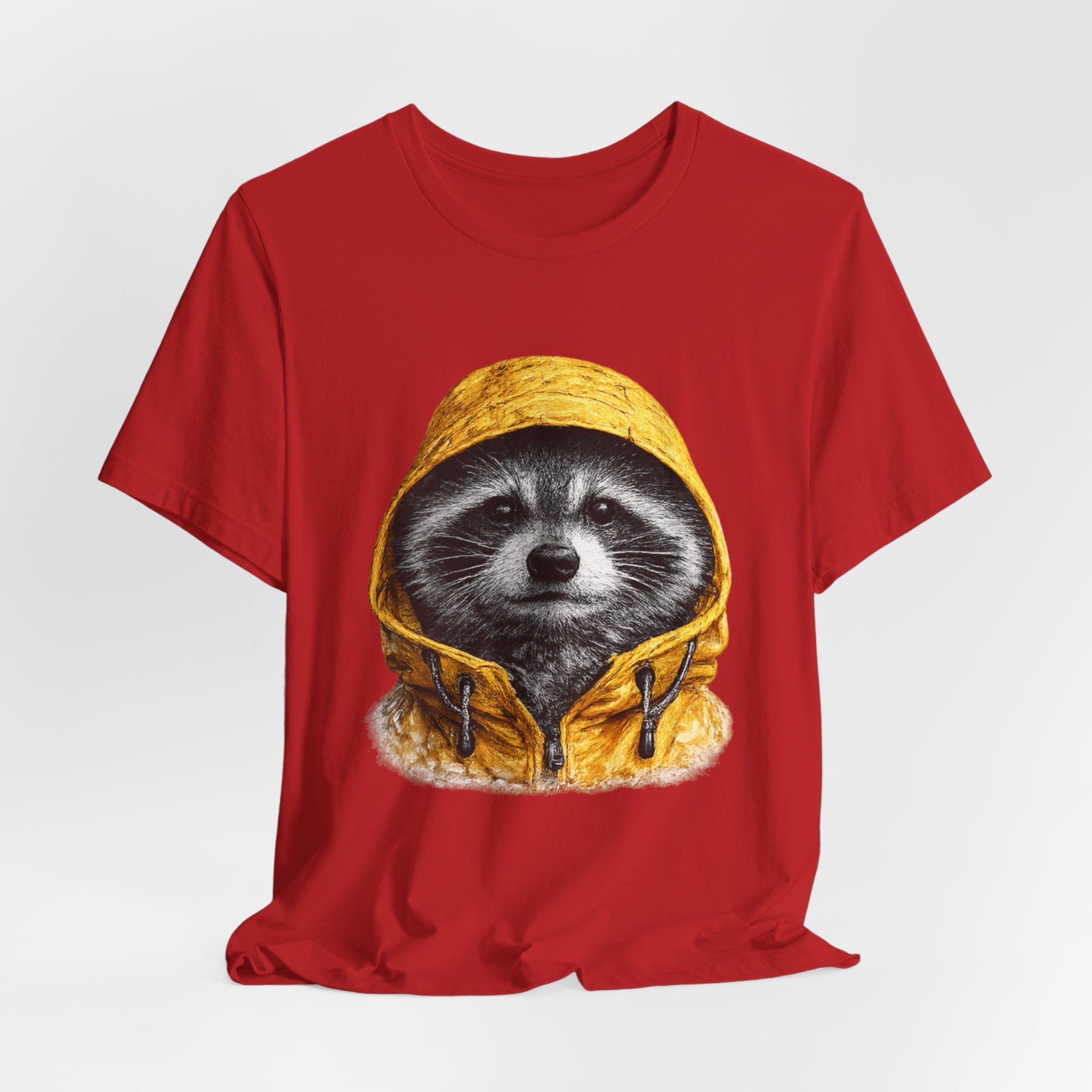 Raincoat Raccoon
