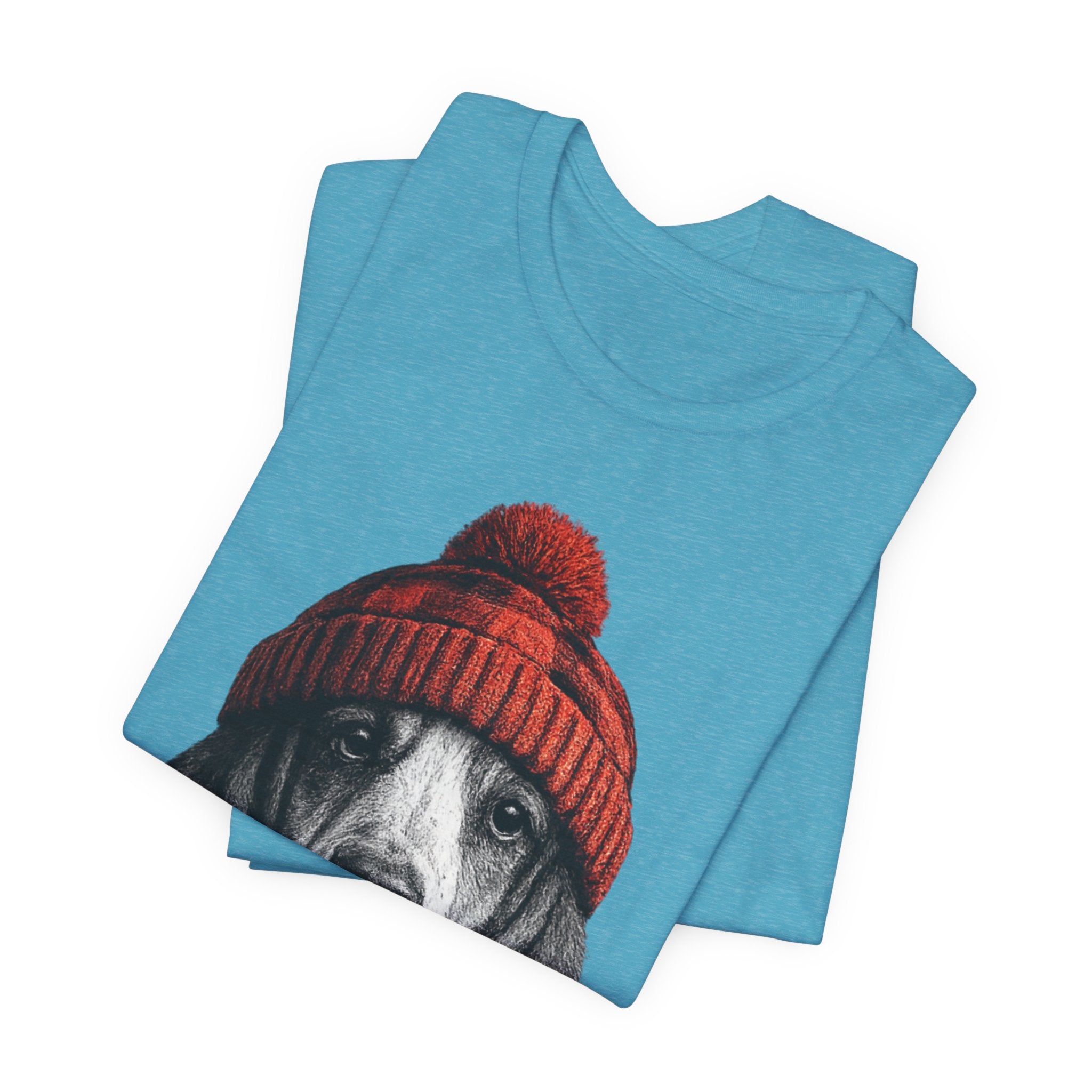 Basset in a Beanie