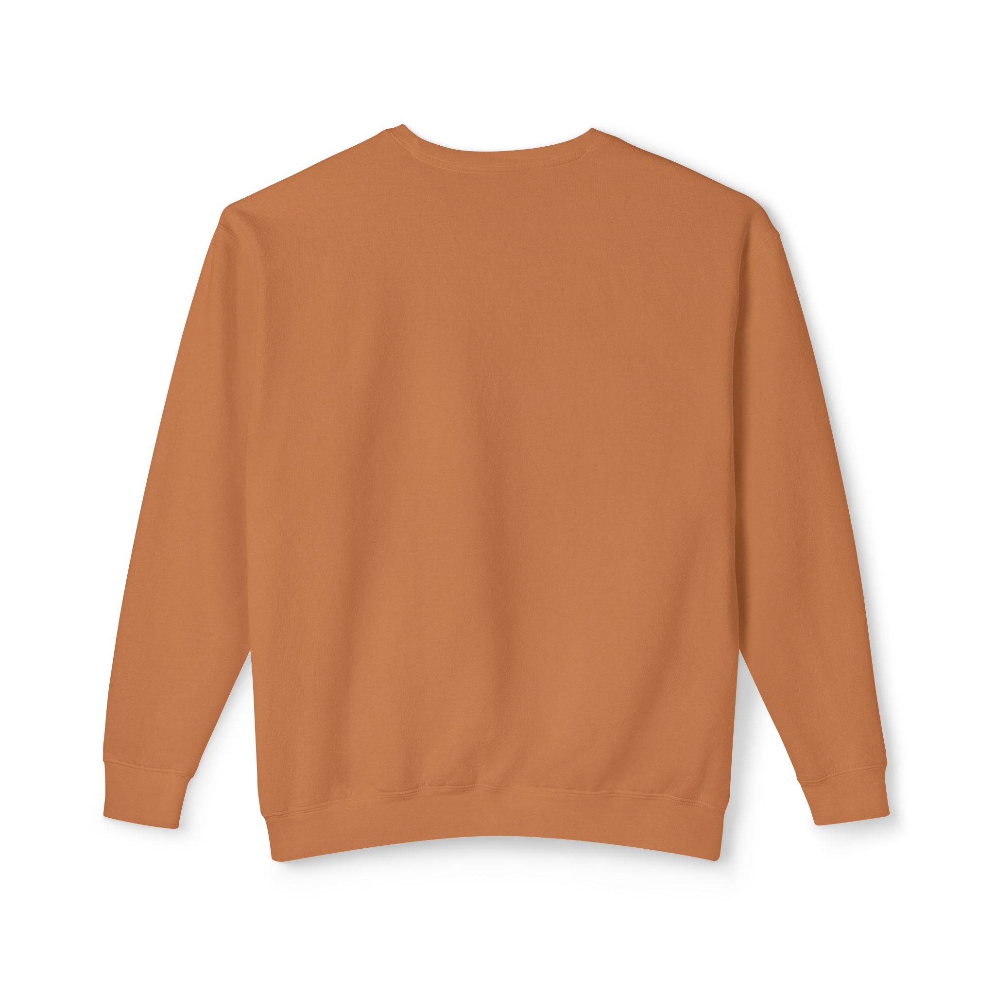 Cat Beanie Sweatshirt
