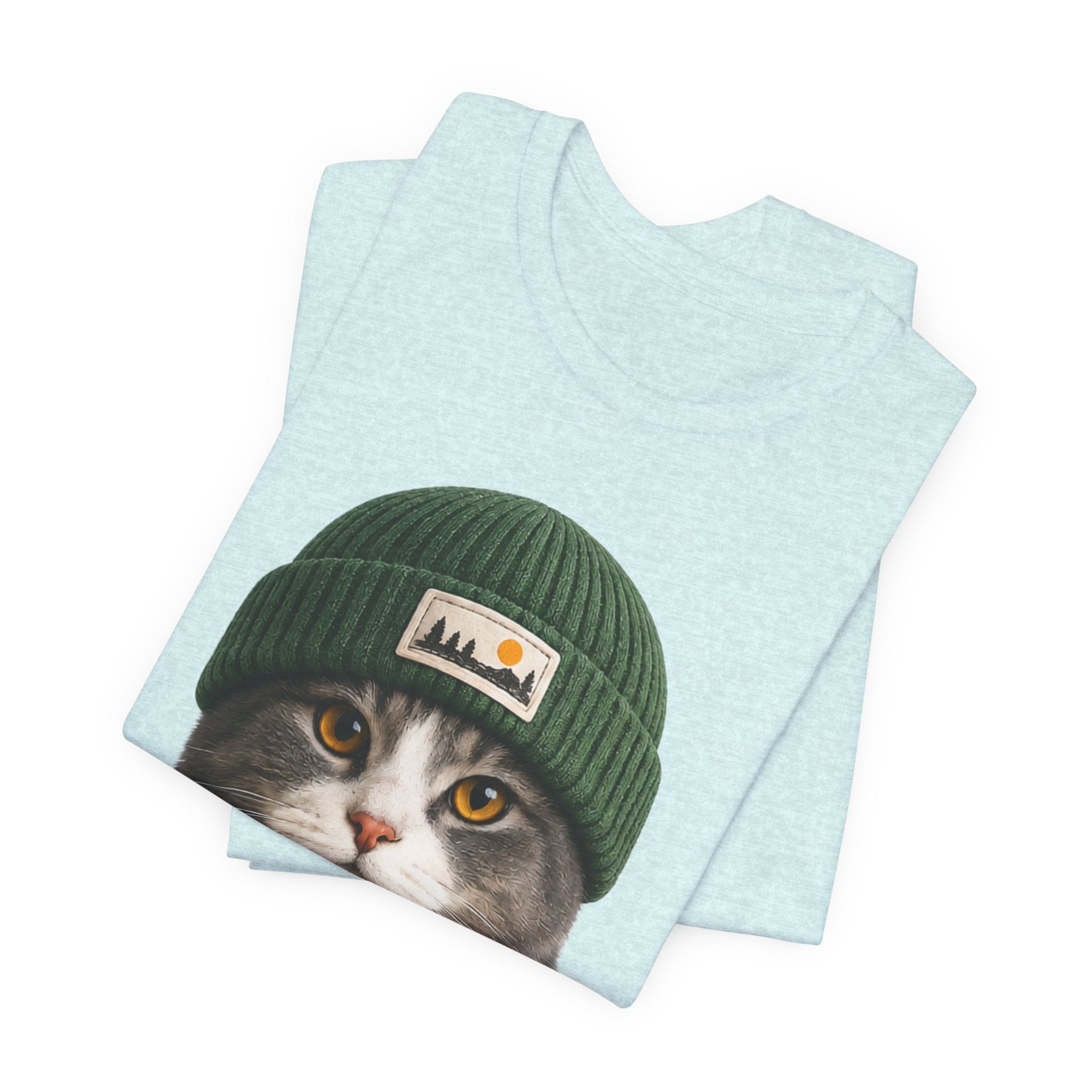Cat in a Beanie