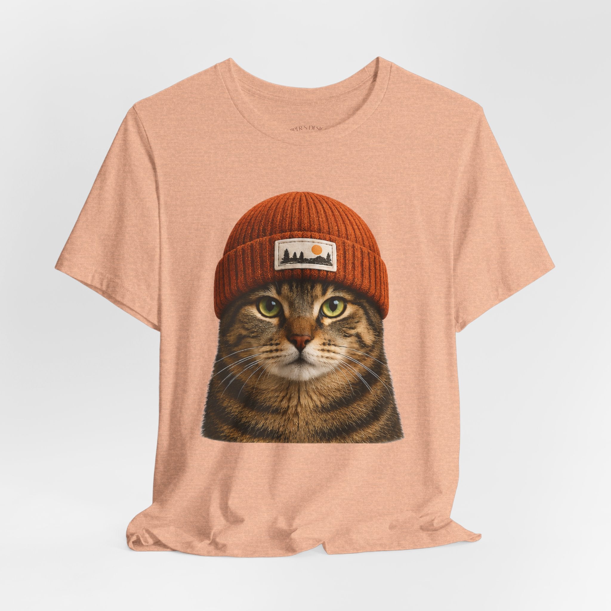 Tabby Cat in a Beanie