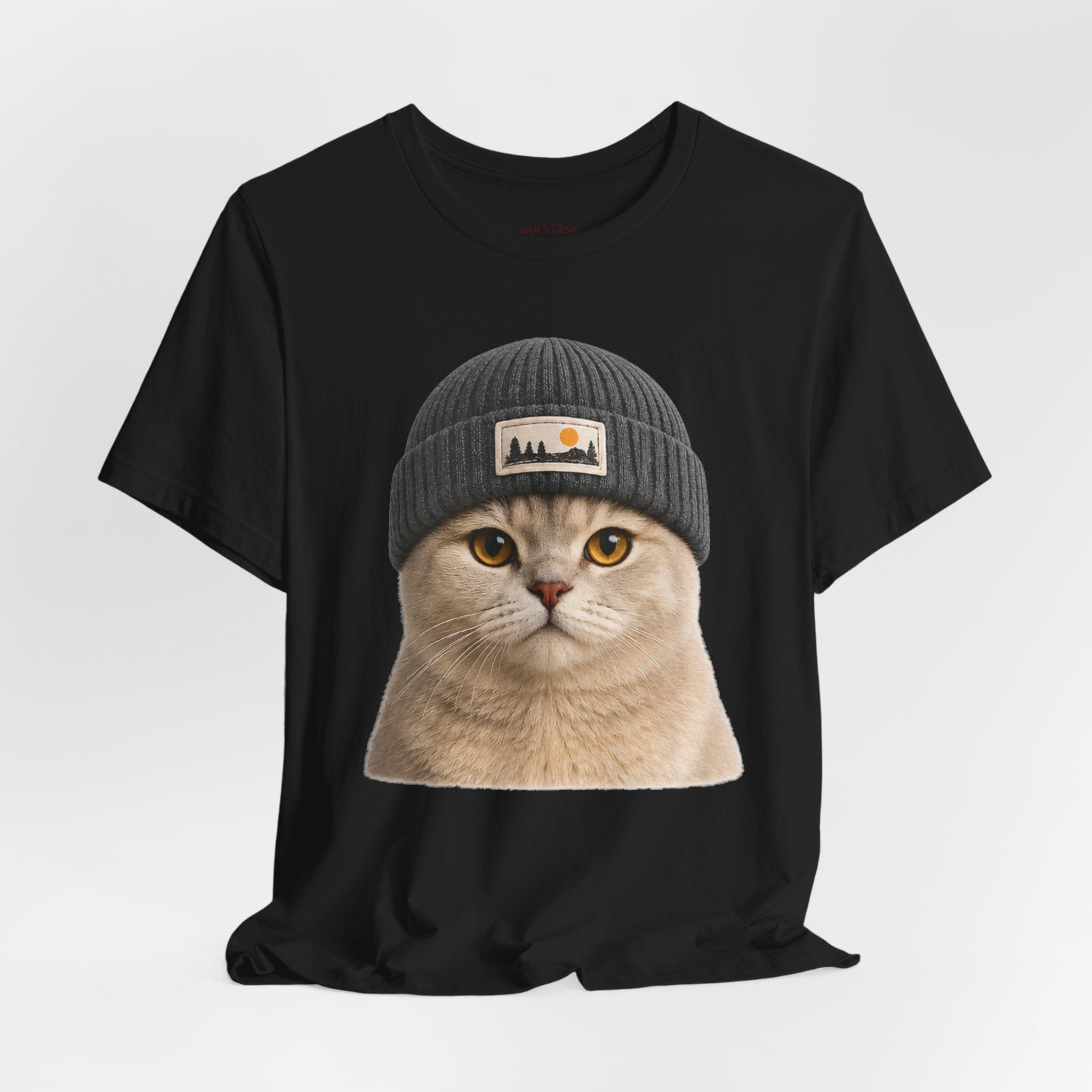 British Shorthair Cat in a Beanie