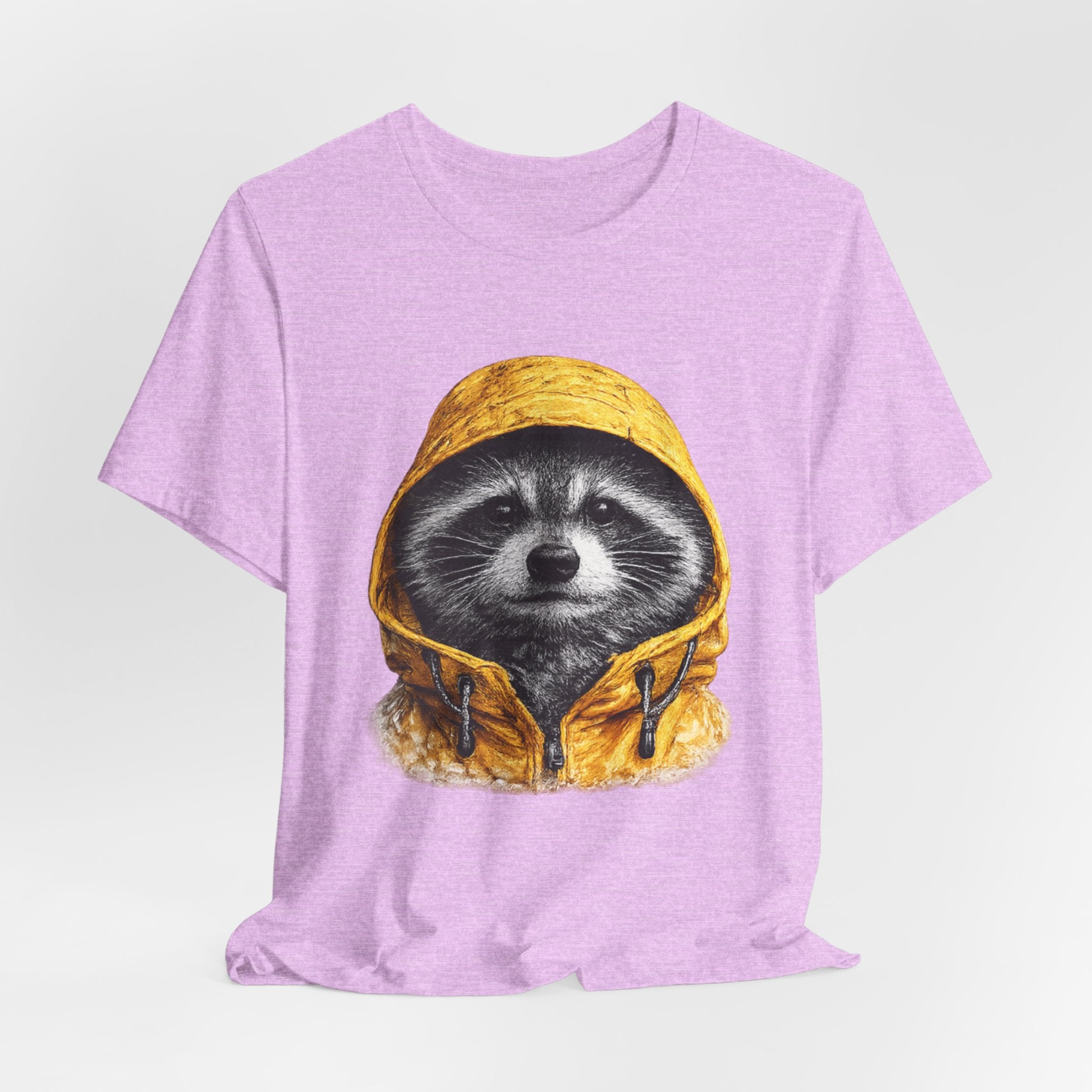 Raincoat Raccoon