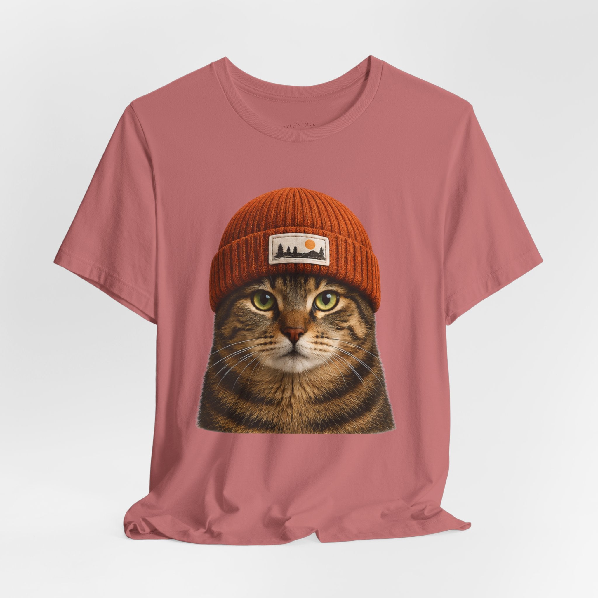 Tabby Cat in a Beanie