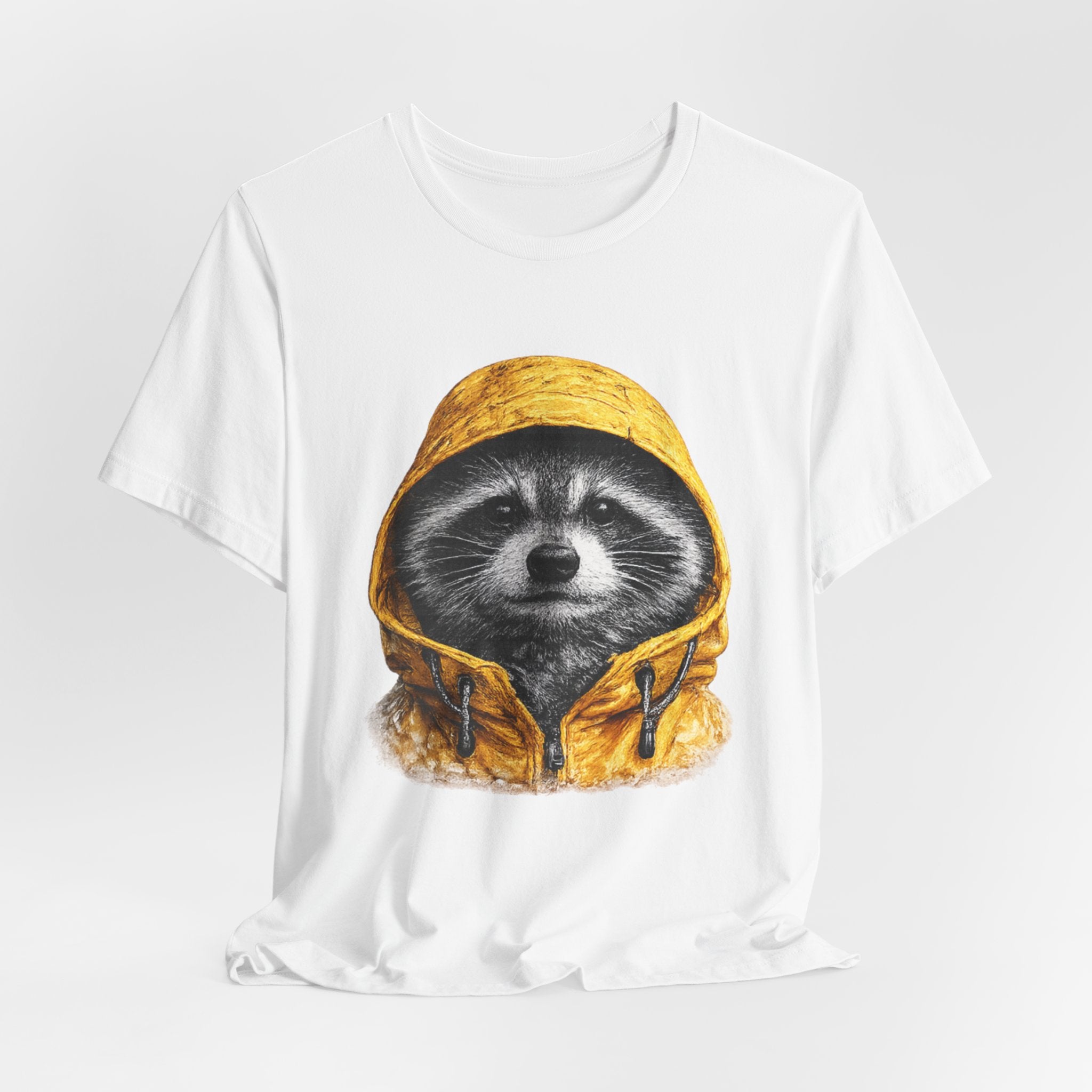 Raincoat Raccoon