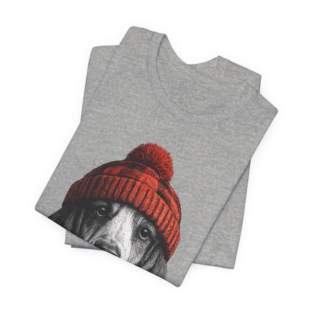 Basset in a Beanie