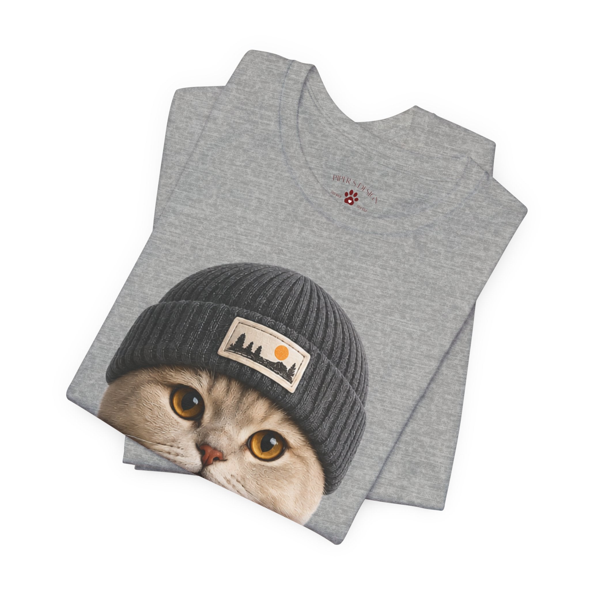 British Shorthair Cat in a Beanie