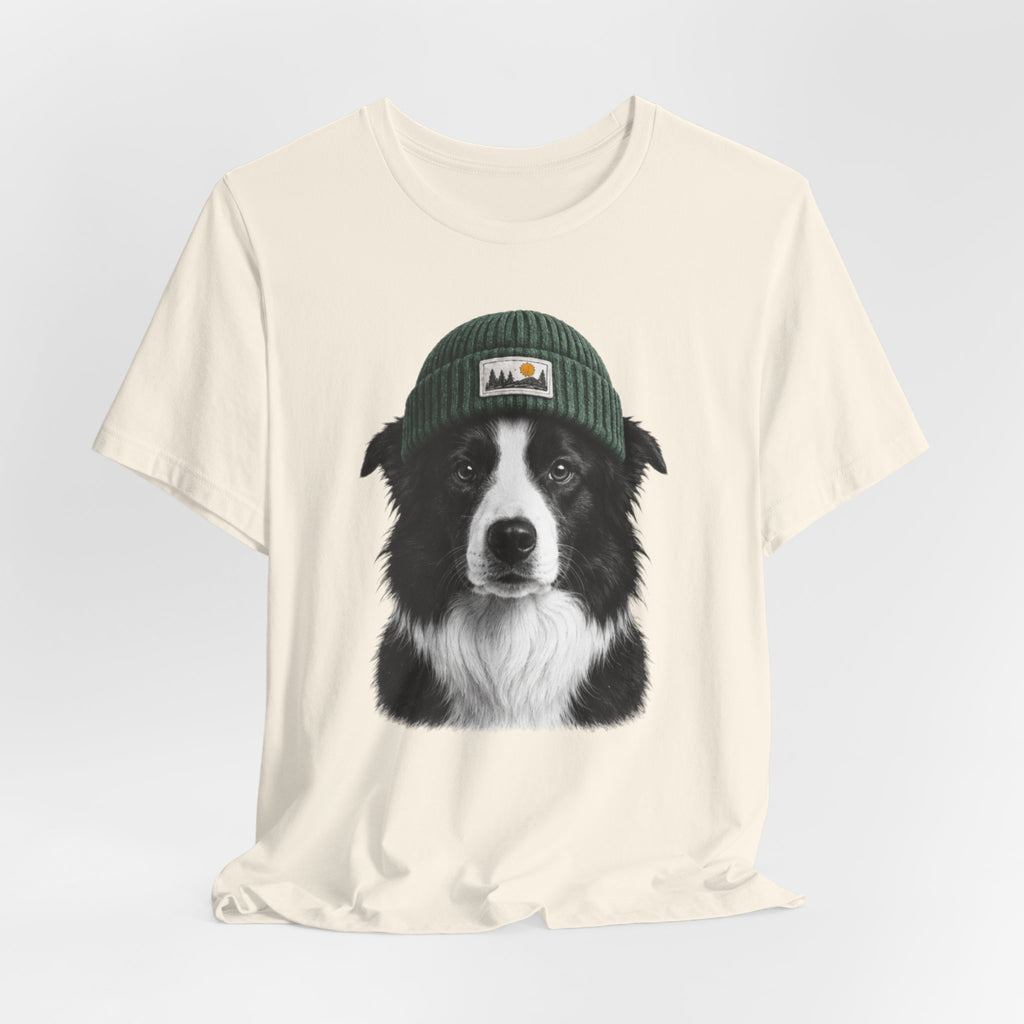 Border Collie in a Beanie