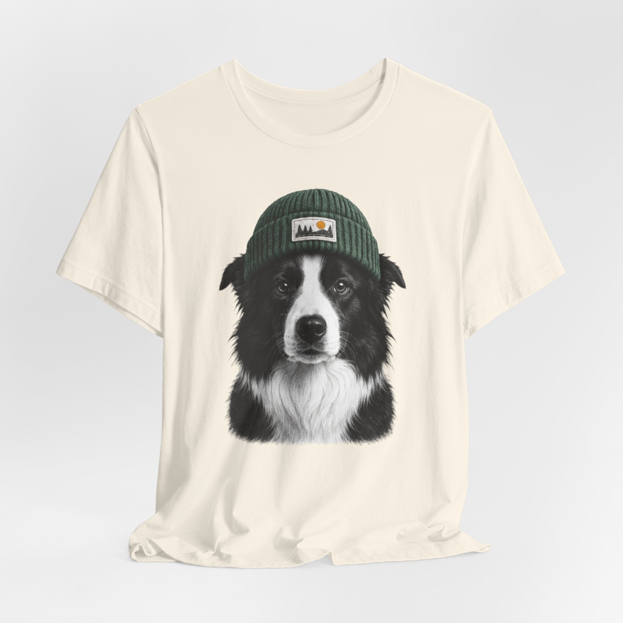 Border Collie in a Beanie