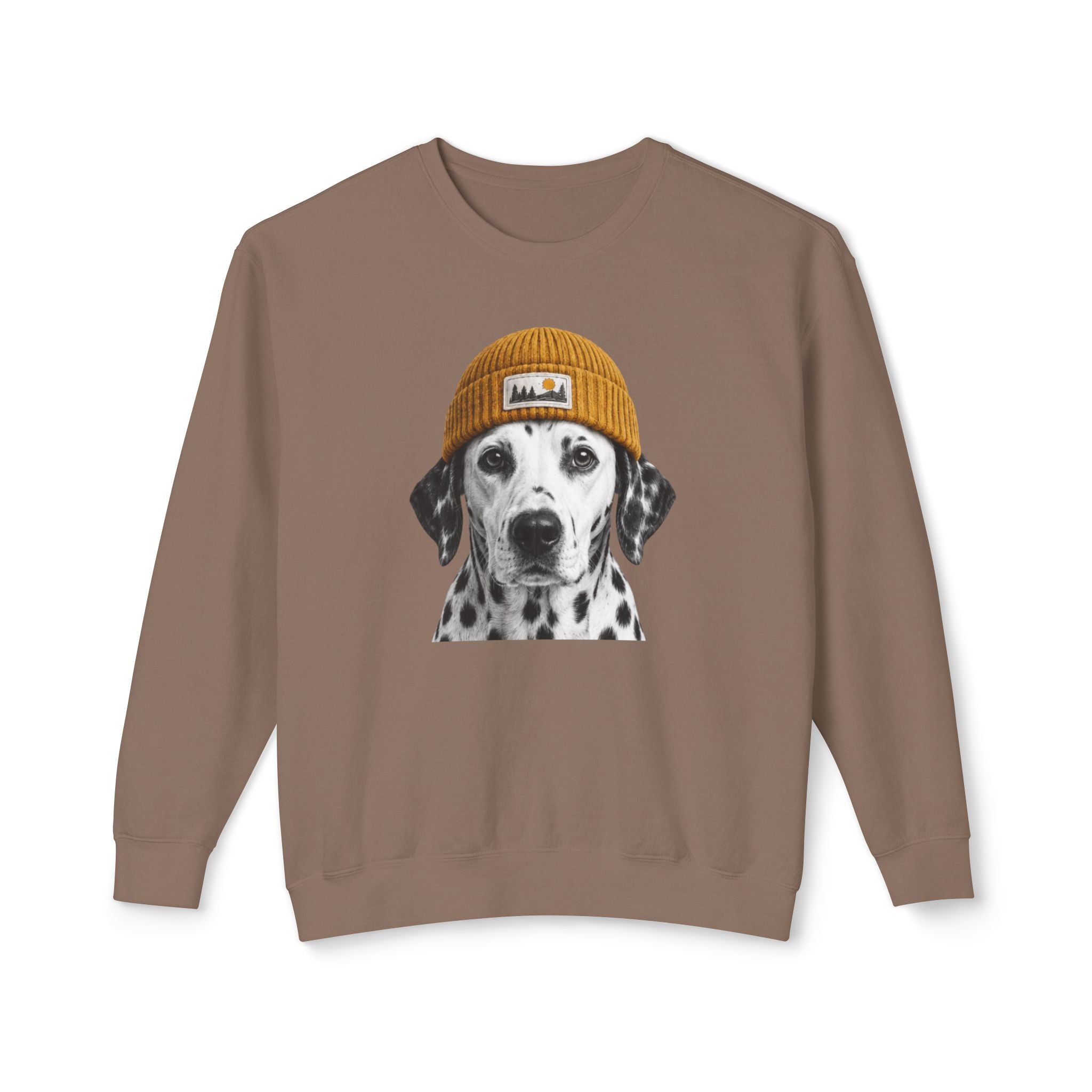 Dalmatian Beanie Sweatshirt