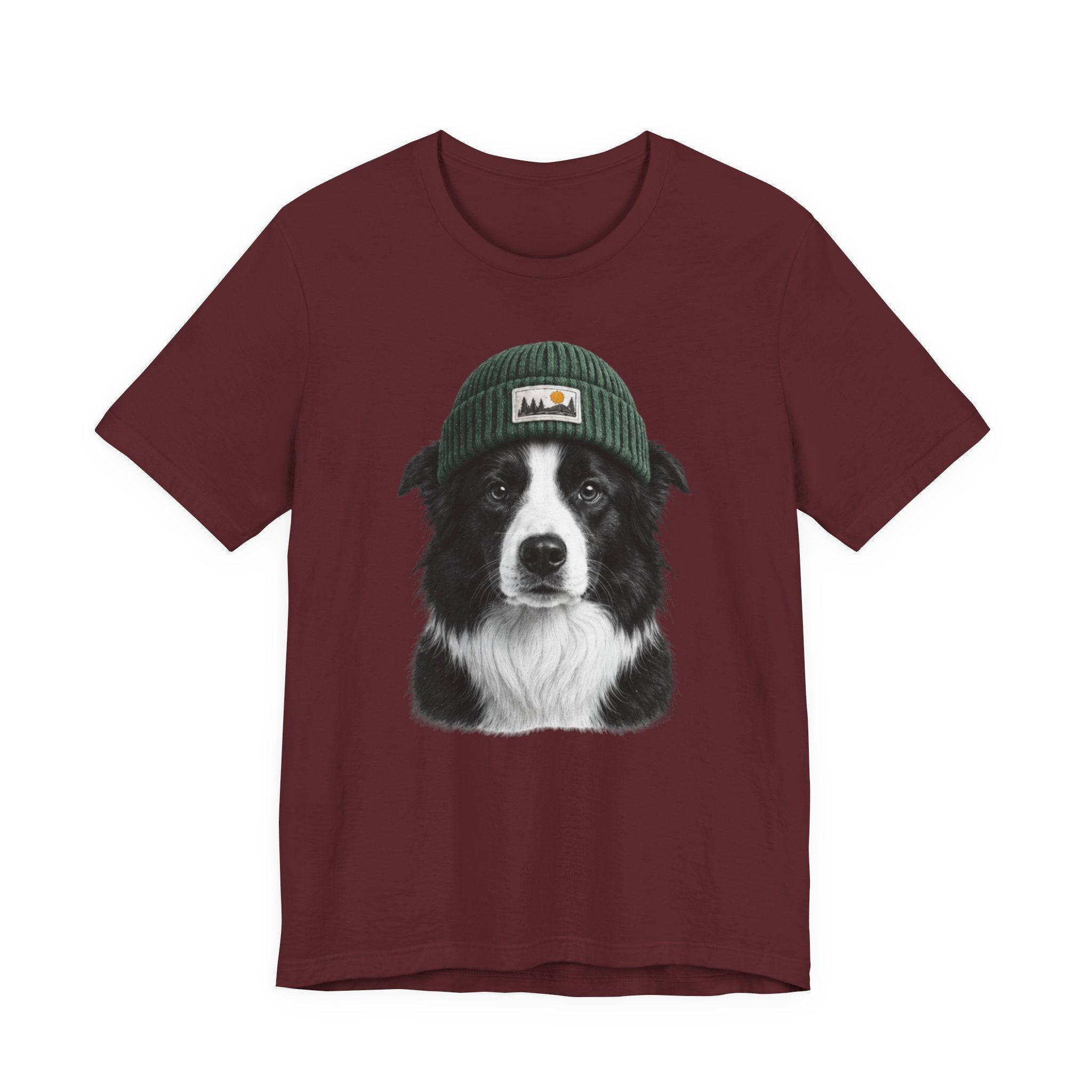 Border Collie in a Beanie