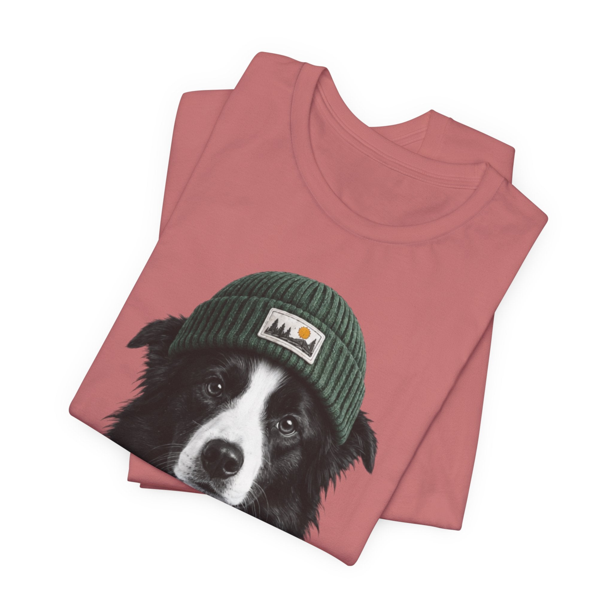 Border Collie in a Beanie