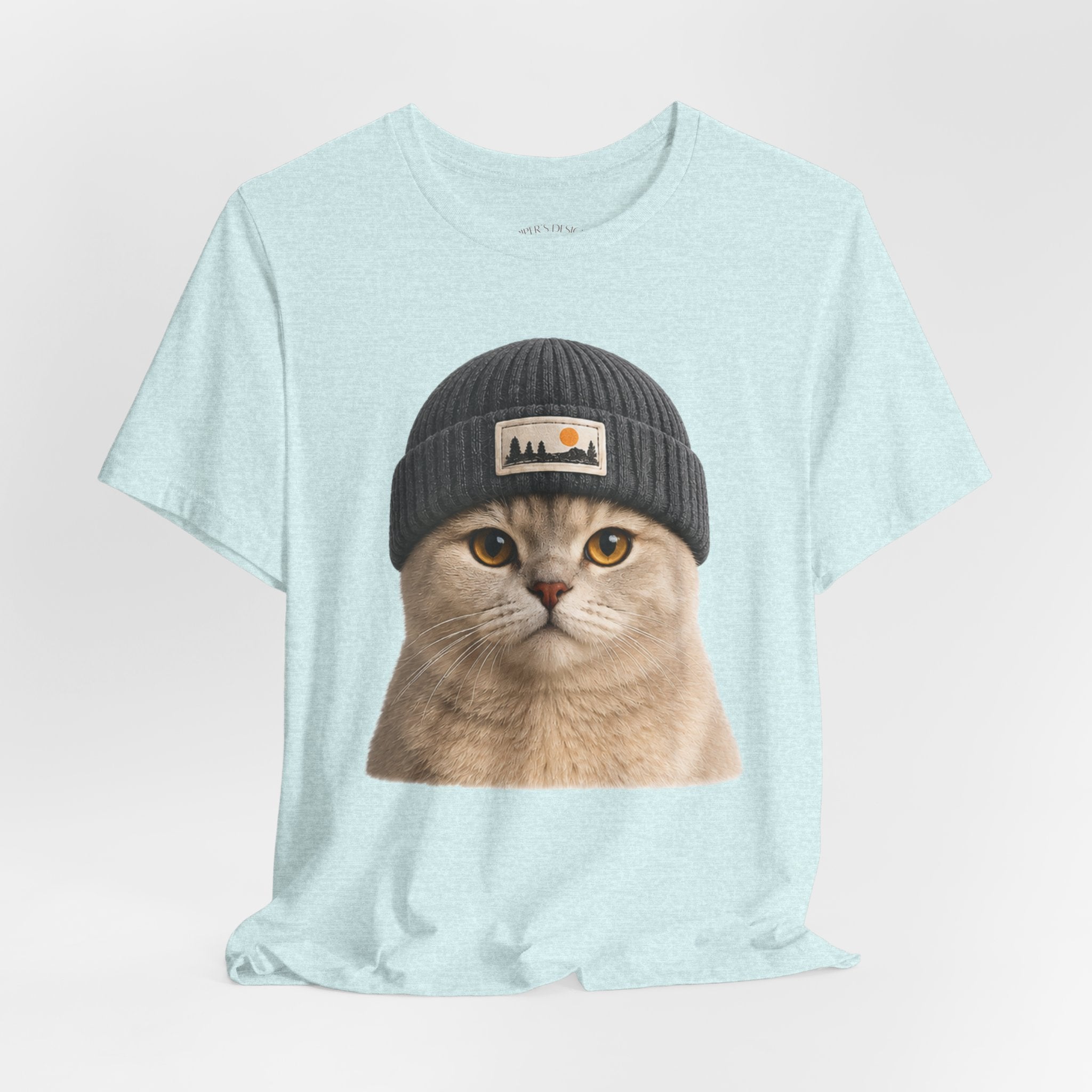 British Shorthair Cat in a Beanie