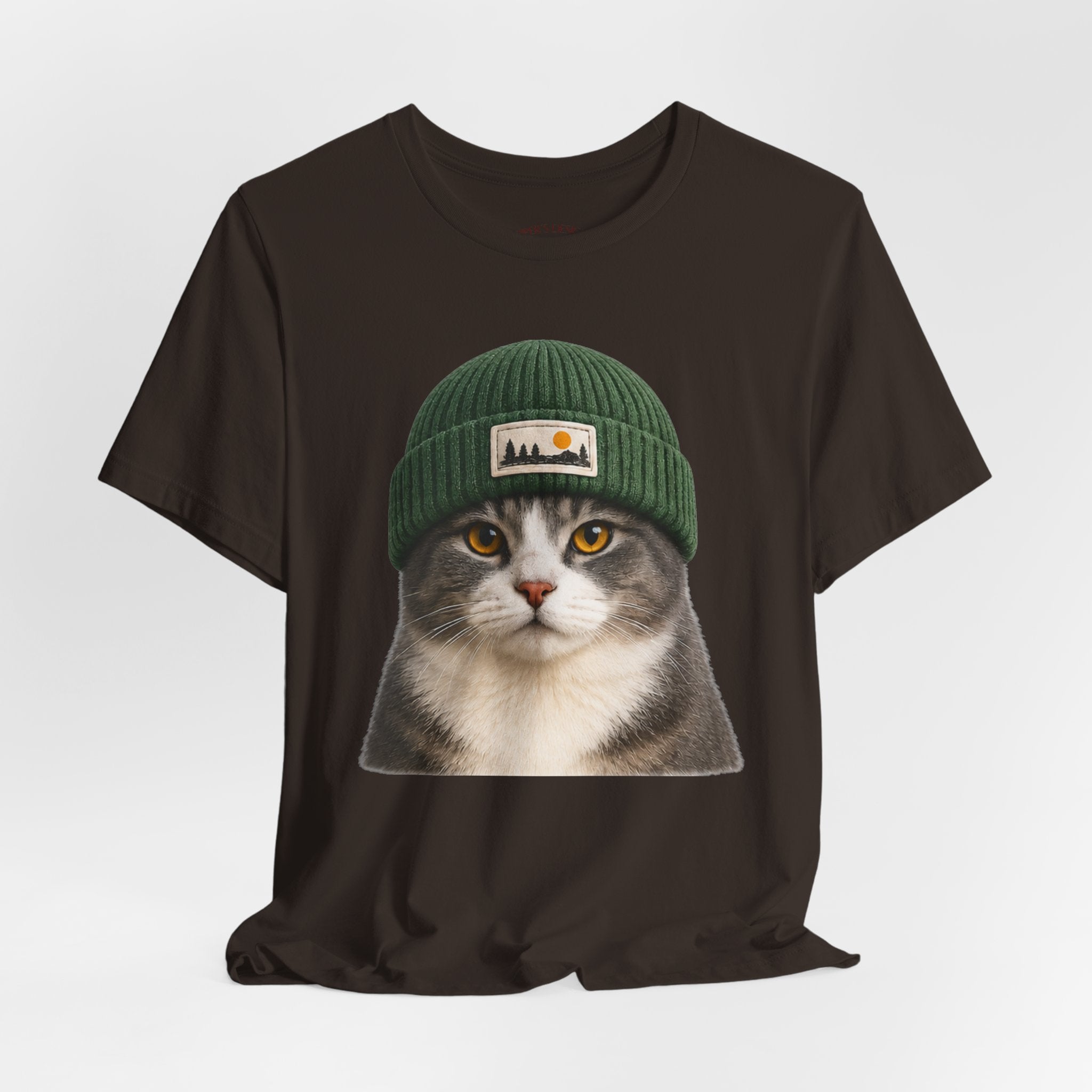 Cat in a Beanie