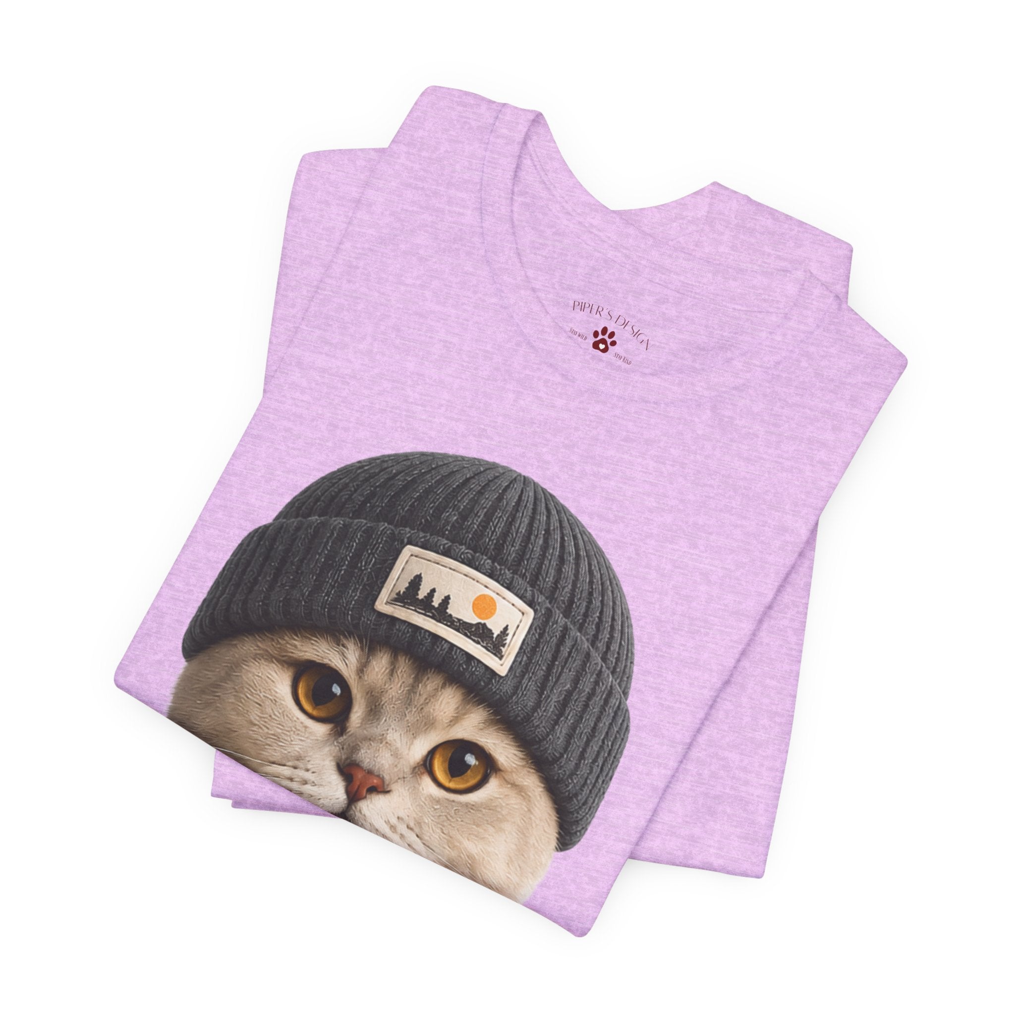 British Shorthair Cat in a Beanie