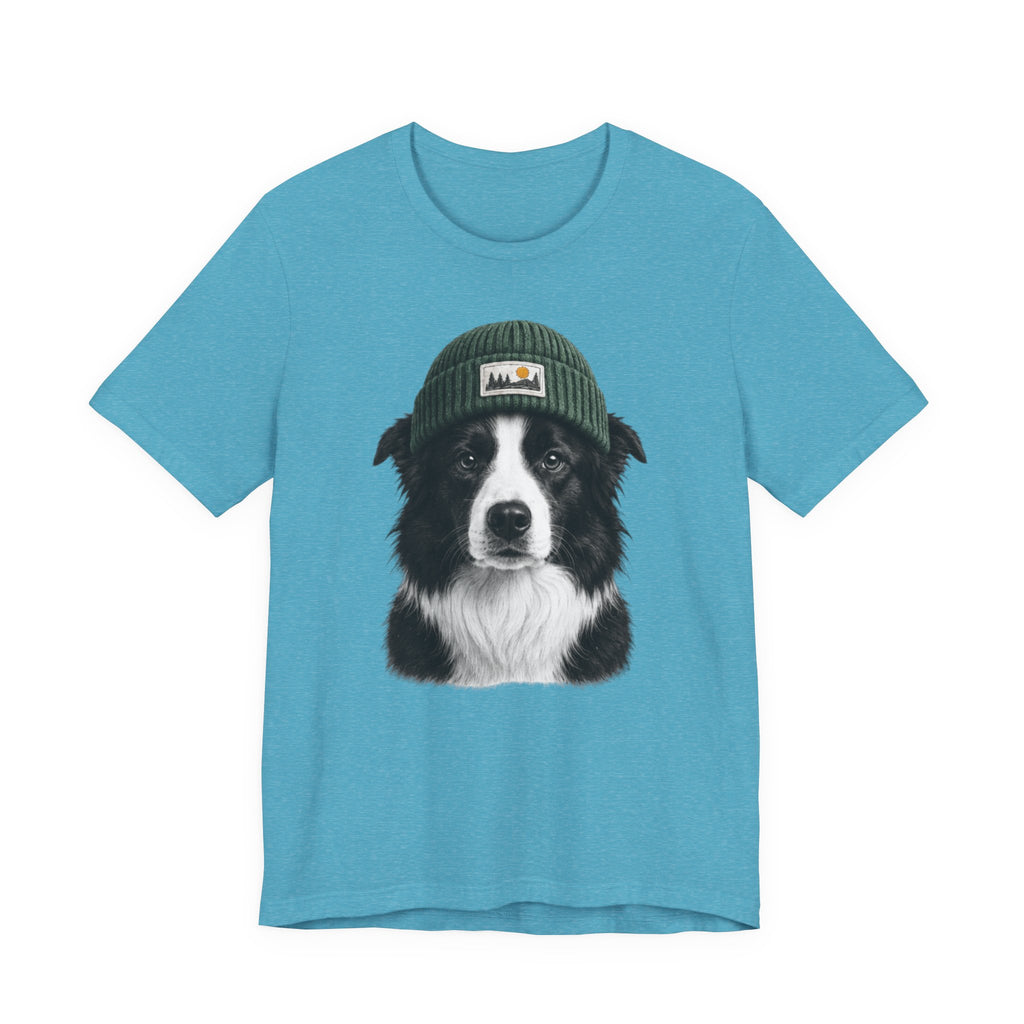 Border Collie in a Beanie