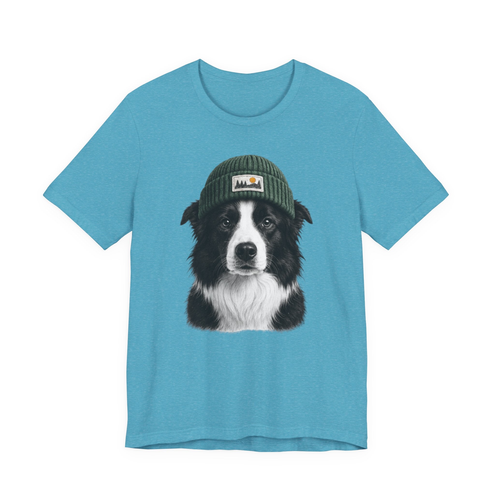 Border Collie in a Beanie
