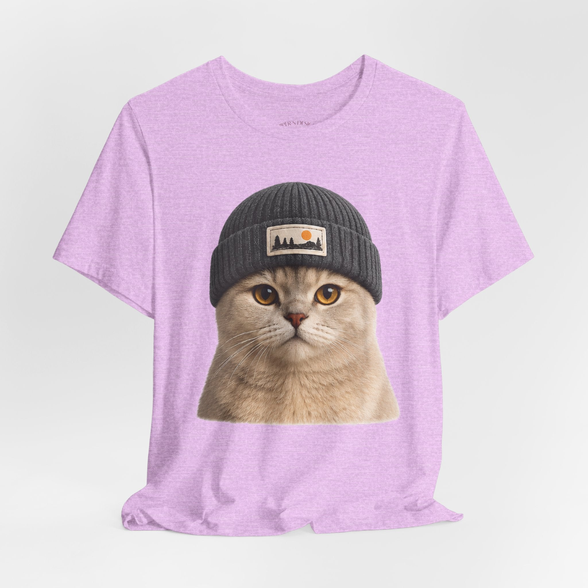 British Shorthair Cat in a Beanie