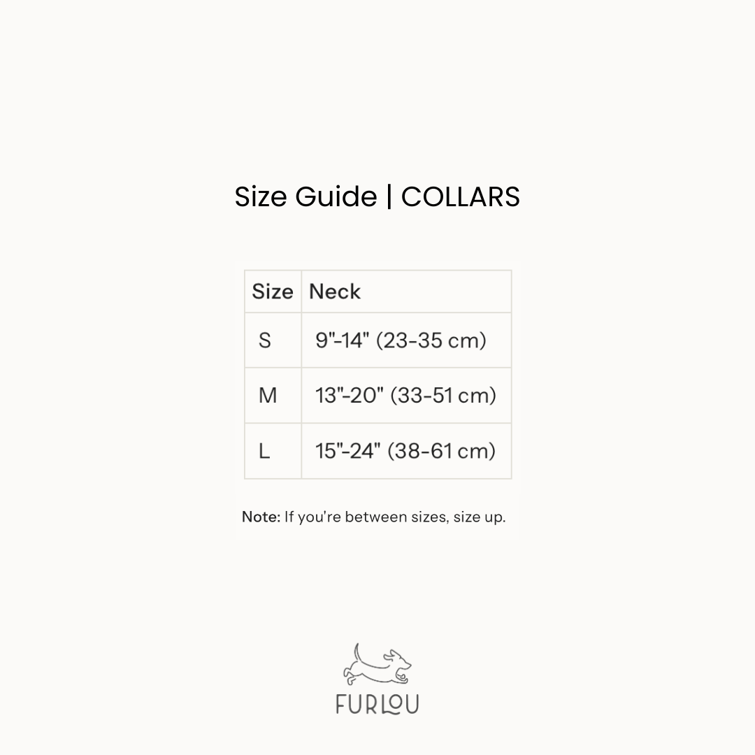 'Tan' - Canvas Dog Collar