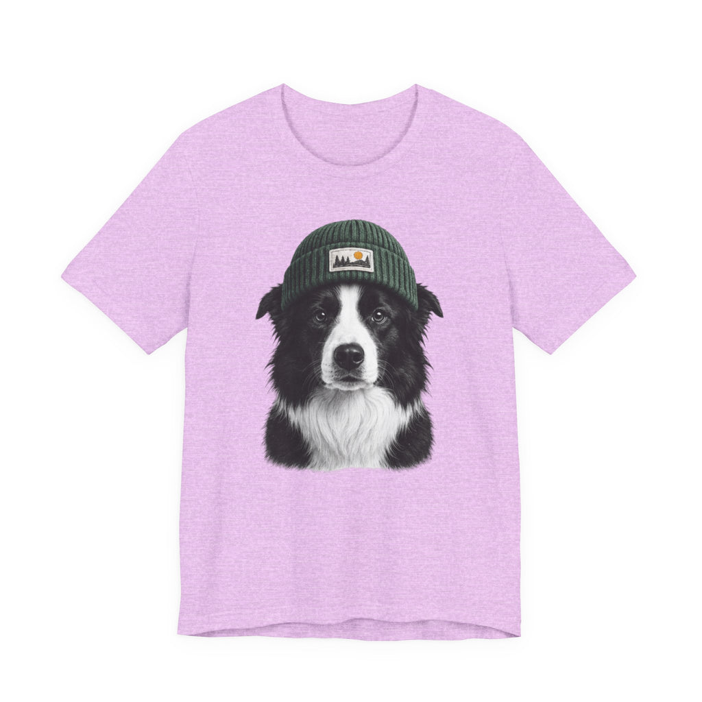 Border Collie in a Beanie